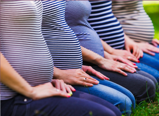 Screen Shot 2023-10-05 at 12.53.26 PM.png