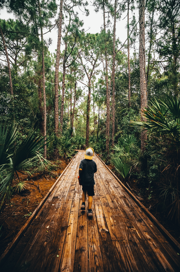 Screen Shot 2021-06-18 at 3.31.52 PM.png