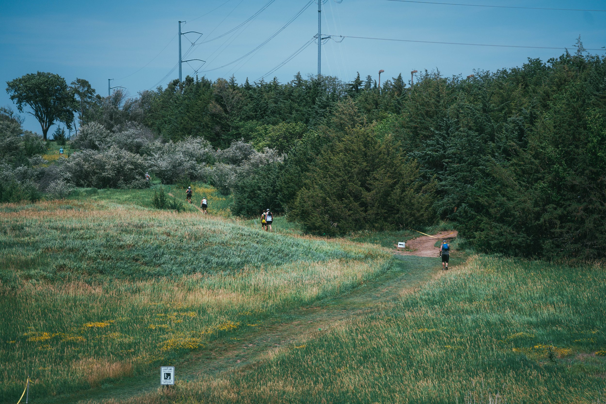 A7400174.jpg