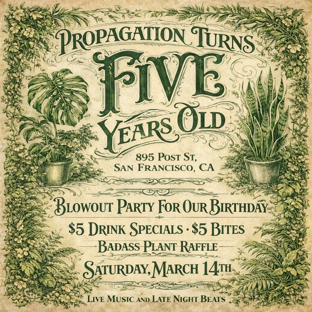 Half a decade of dirt under our nails&hellip;..🌿🍸
we&rsquo;re throwing a birthday blowout!!

Saturday March 14th 6pm-2am
🍸 $5 drinks specials
🫦 $5 bites 
🌱 Badass plant raffle
🎙️ Live Music &amp; late night beats