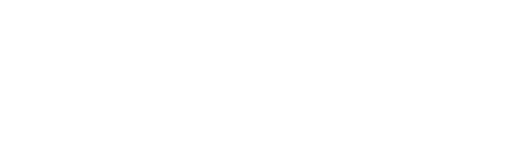 vice-logo-white.png