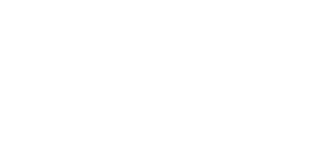 the-guardian.png