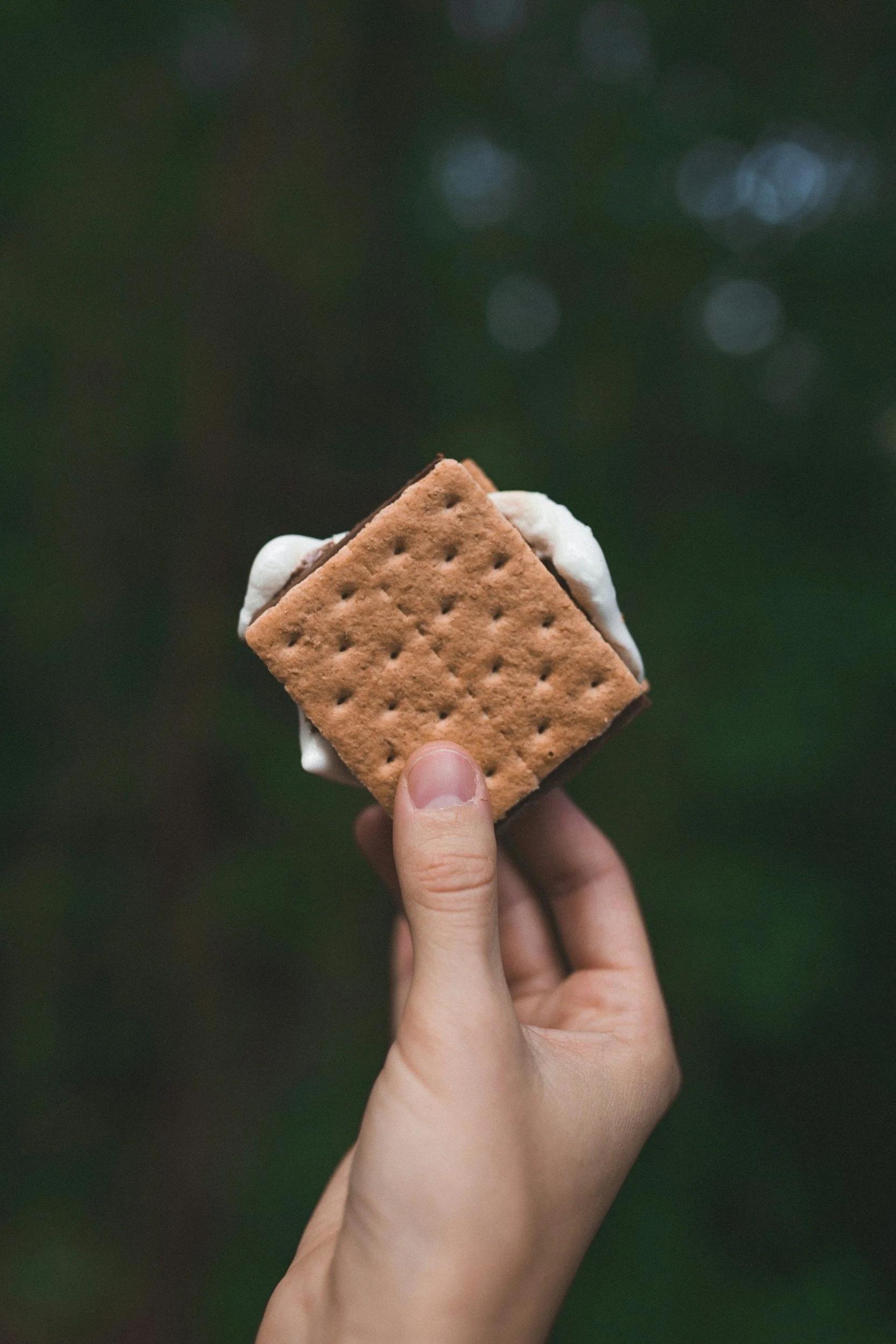 Frozen S’mores