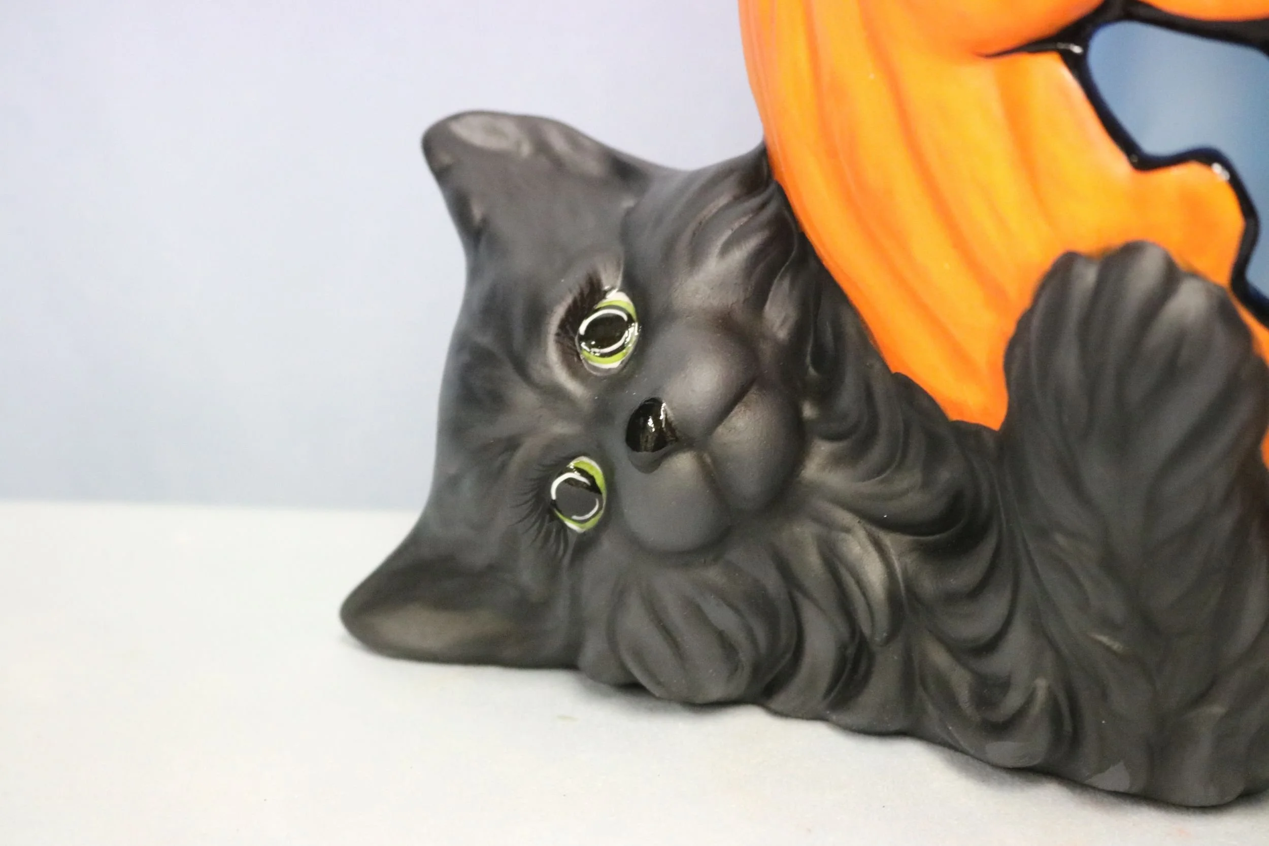 cat with Jack O lantern on back 8.jpg