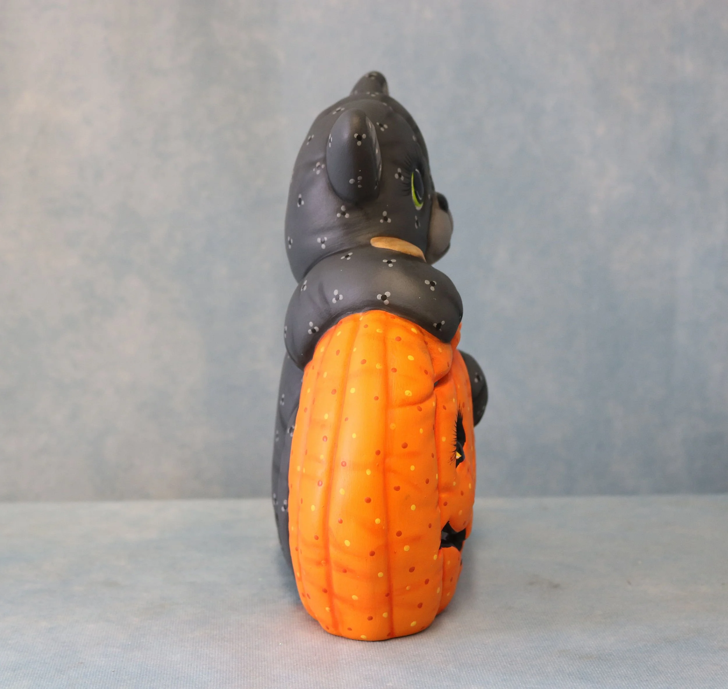 Softy Cat & Pumpkins 11.jpg