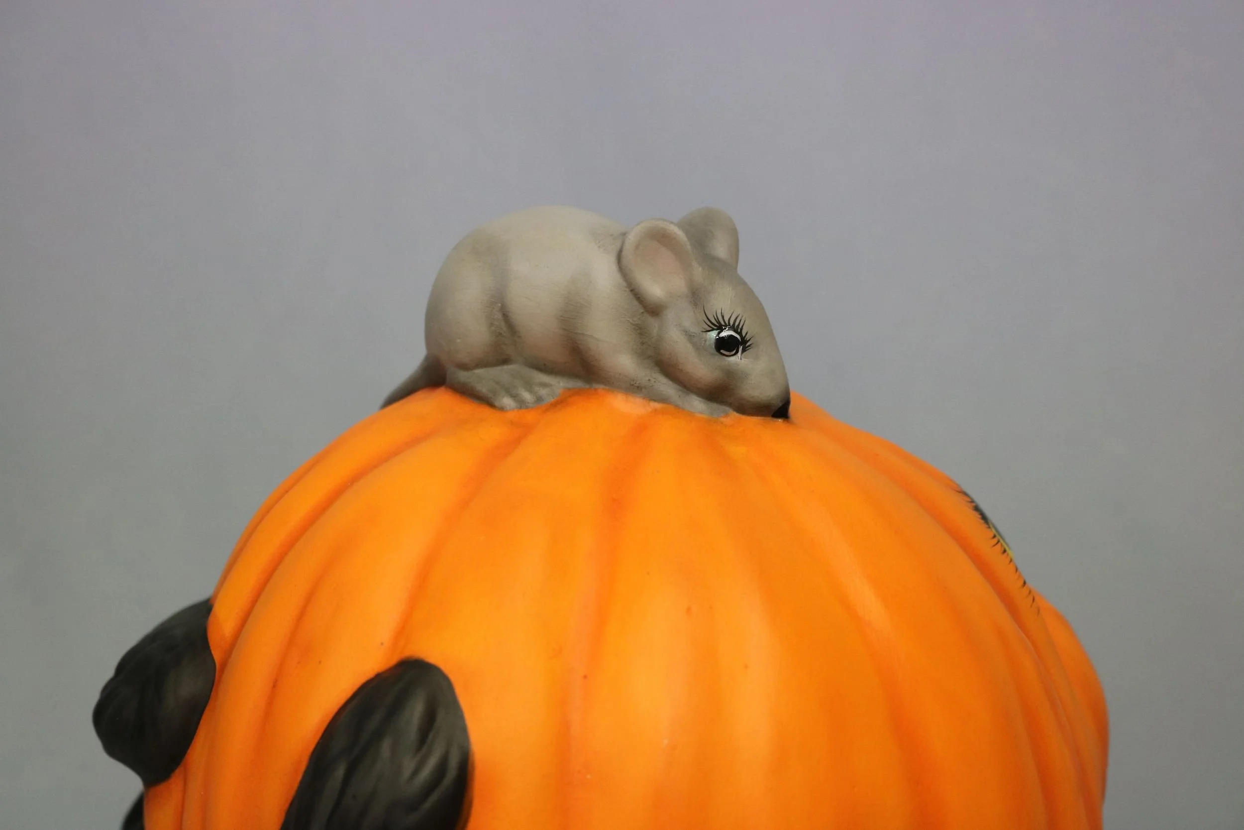 cat with Jack O lantern on back 13.jpg