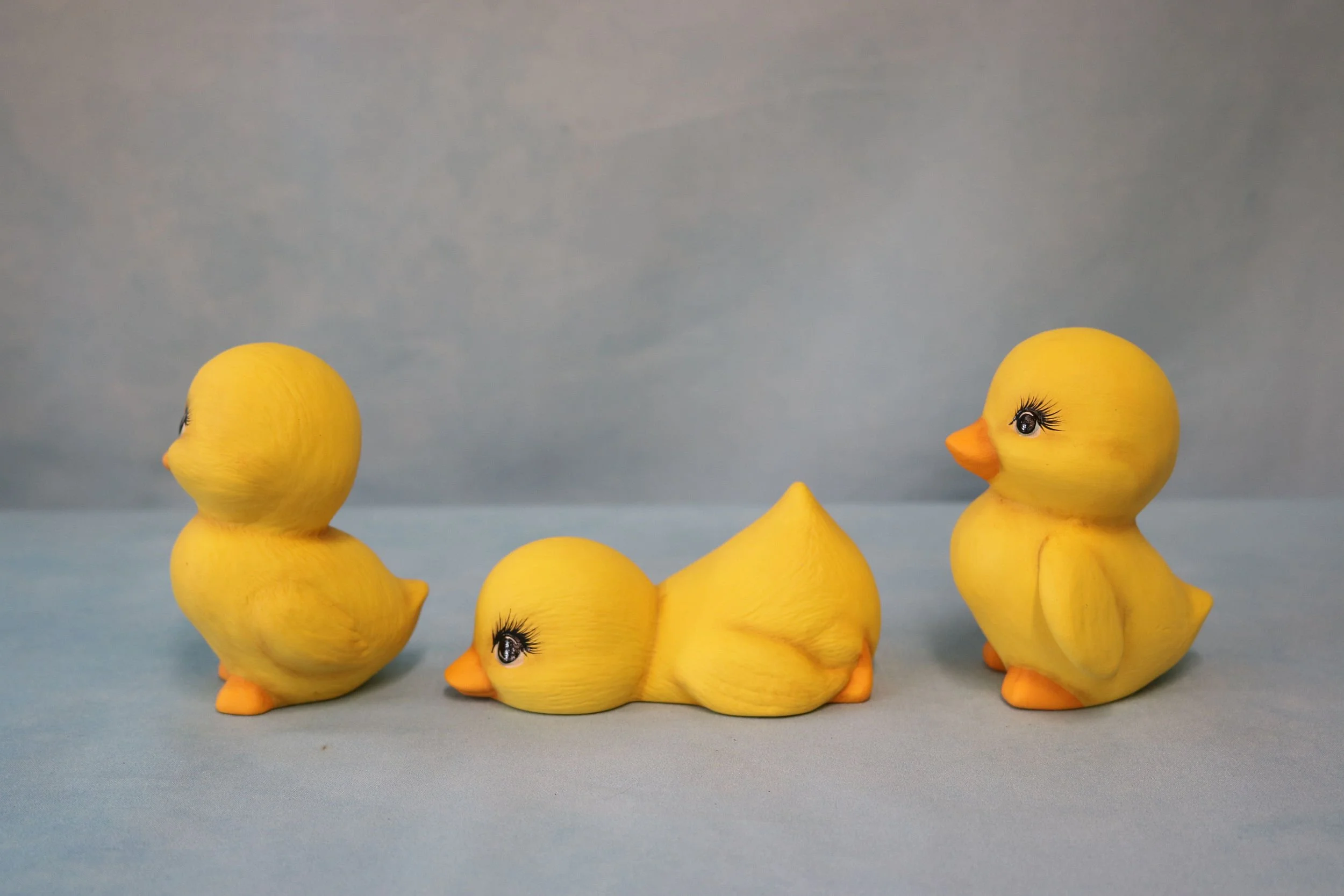 ducklings 13.jpg