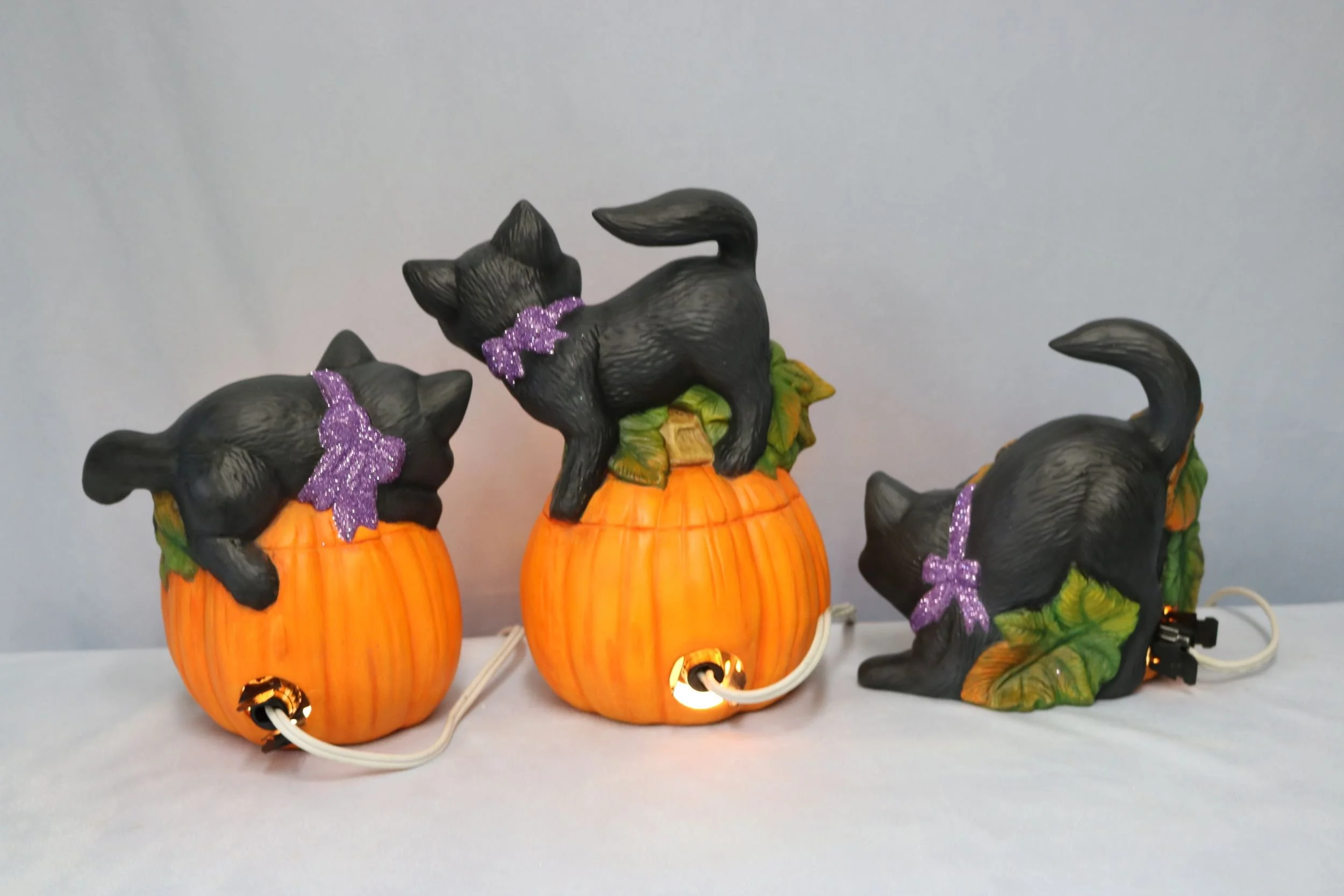 cats and Jack O Lanterns 7.jpg