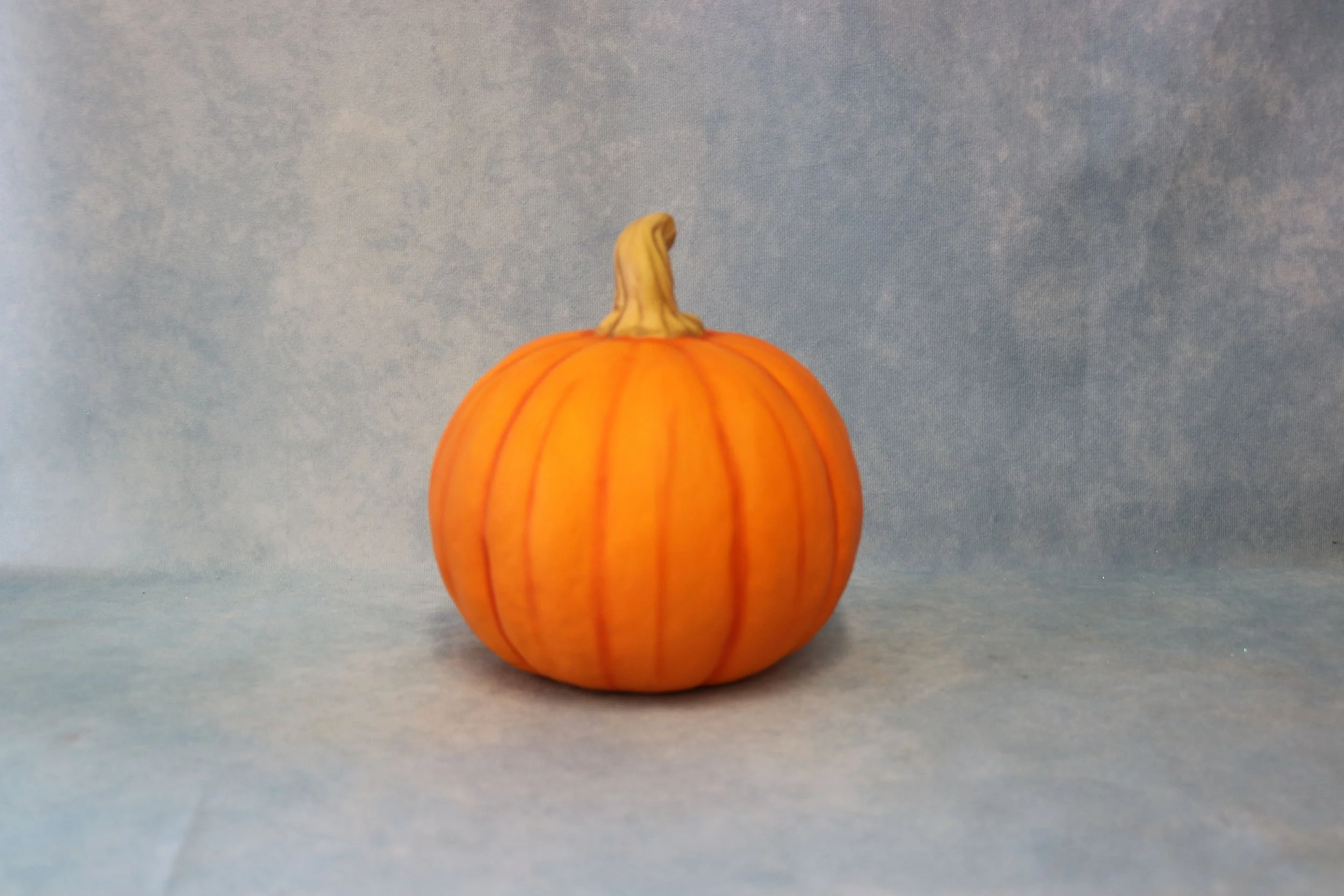 plain pumpkin 6 - Copy.jpg