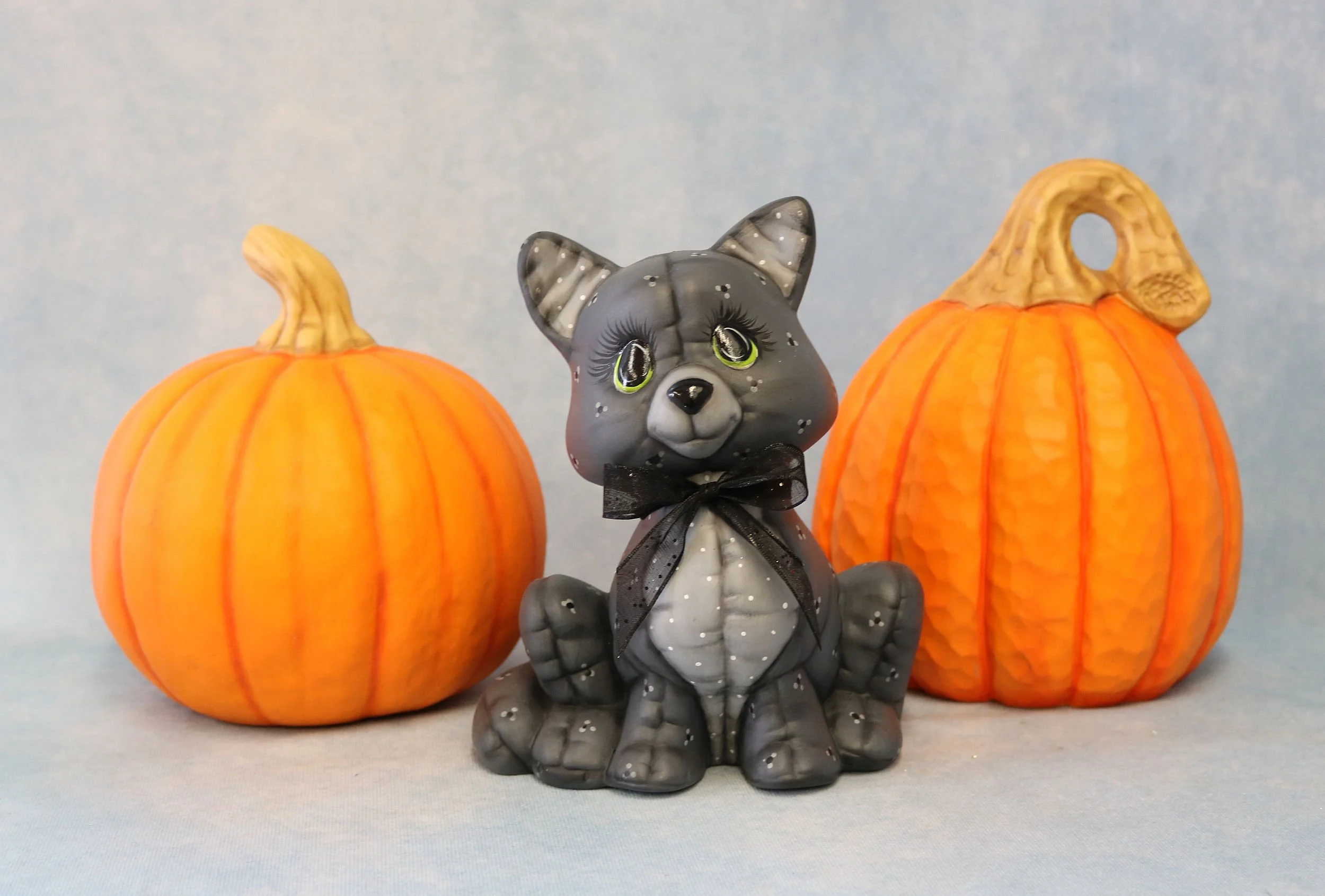Softy Cat & Pumpkins.jpg