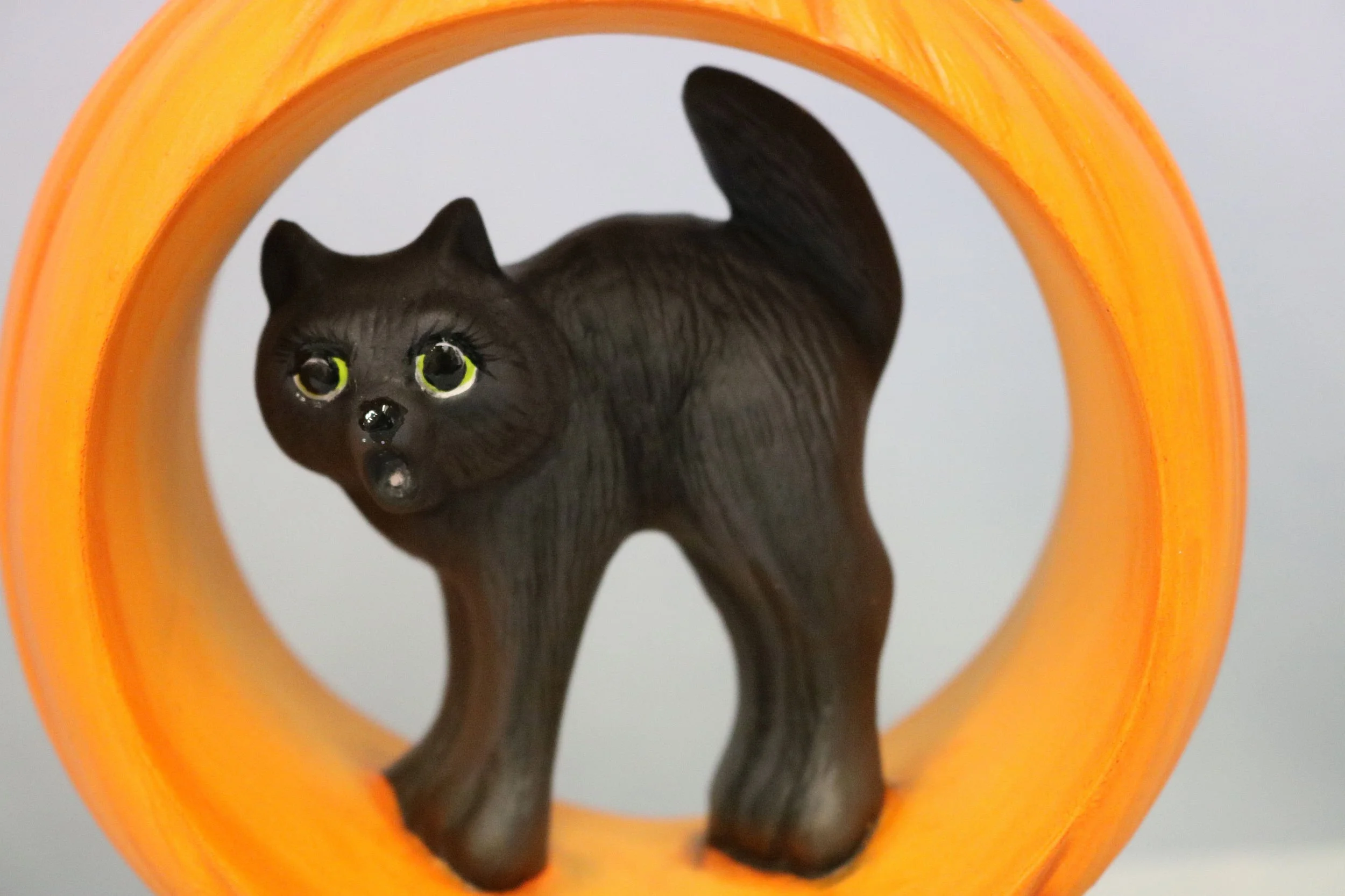 Cat in Pumpkin 4.jpg
