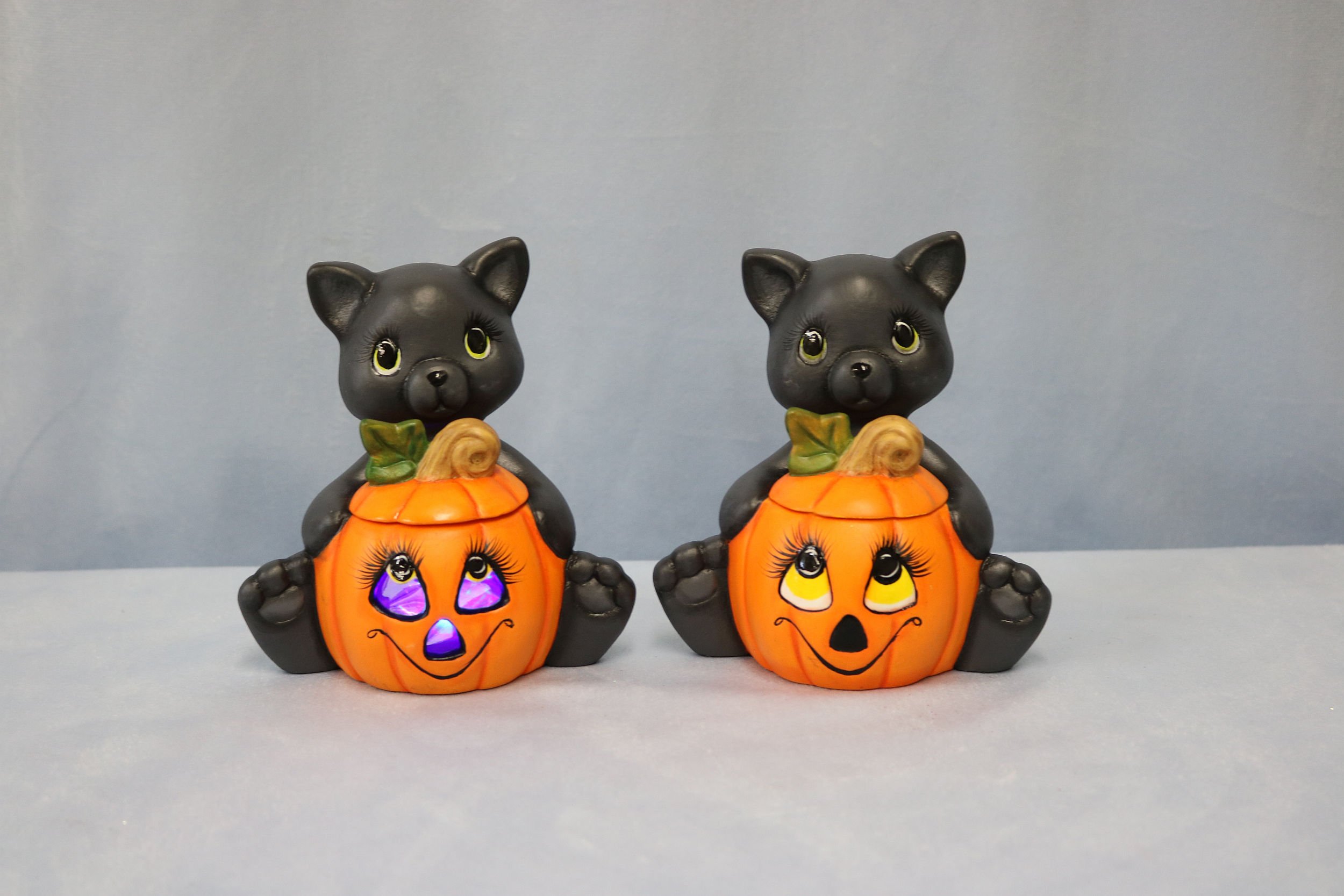 Kittys 2.jpg