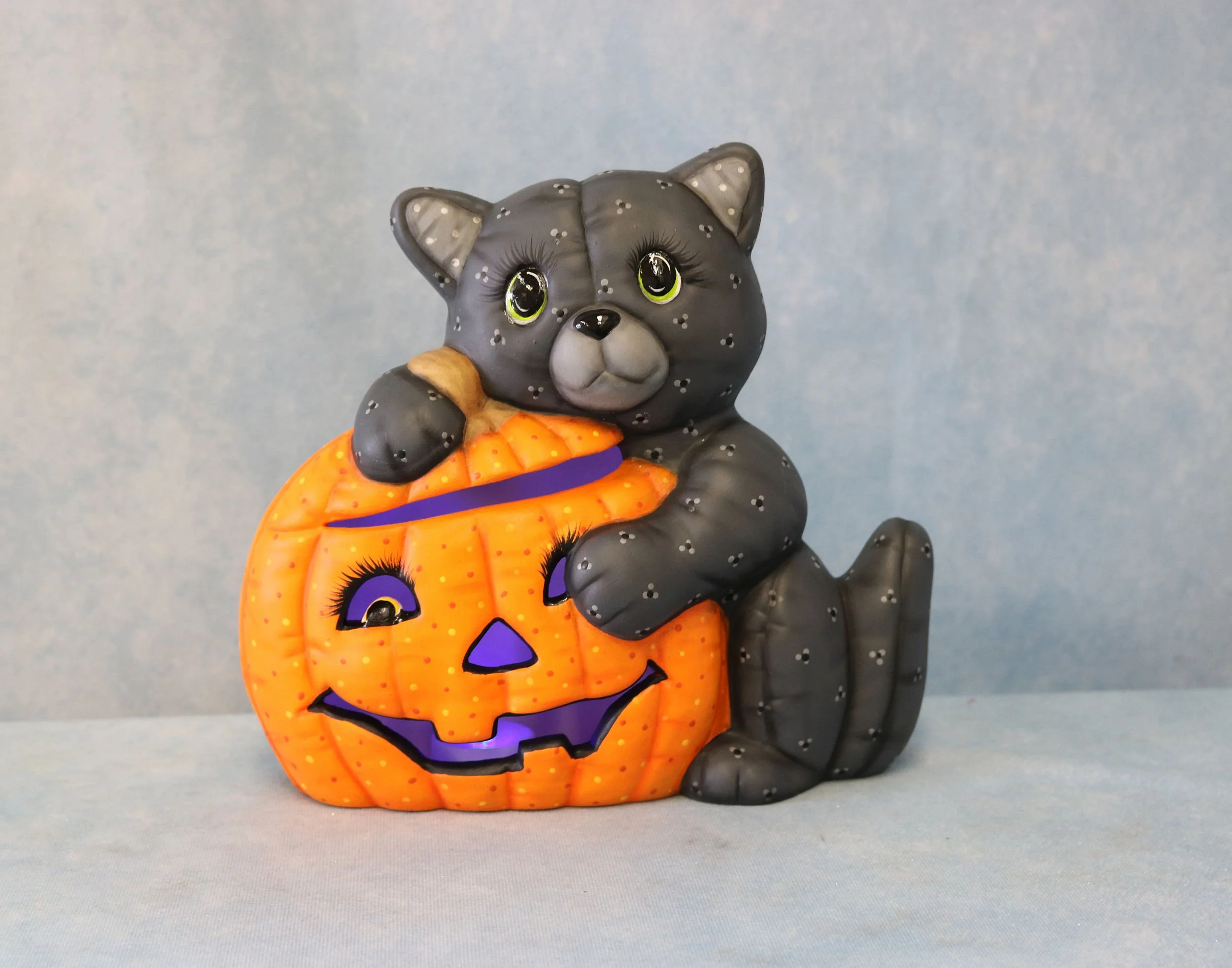 Softy cat wtih Pumpkin.jpg