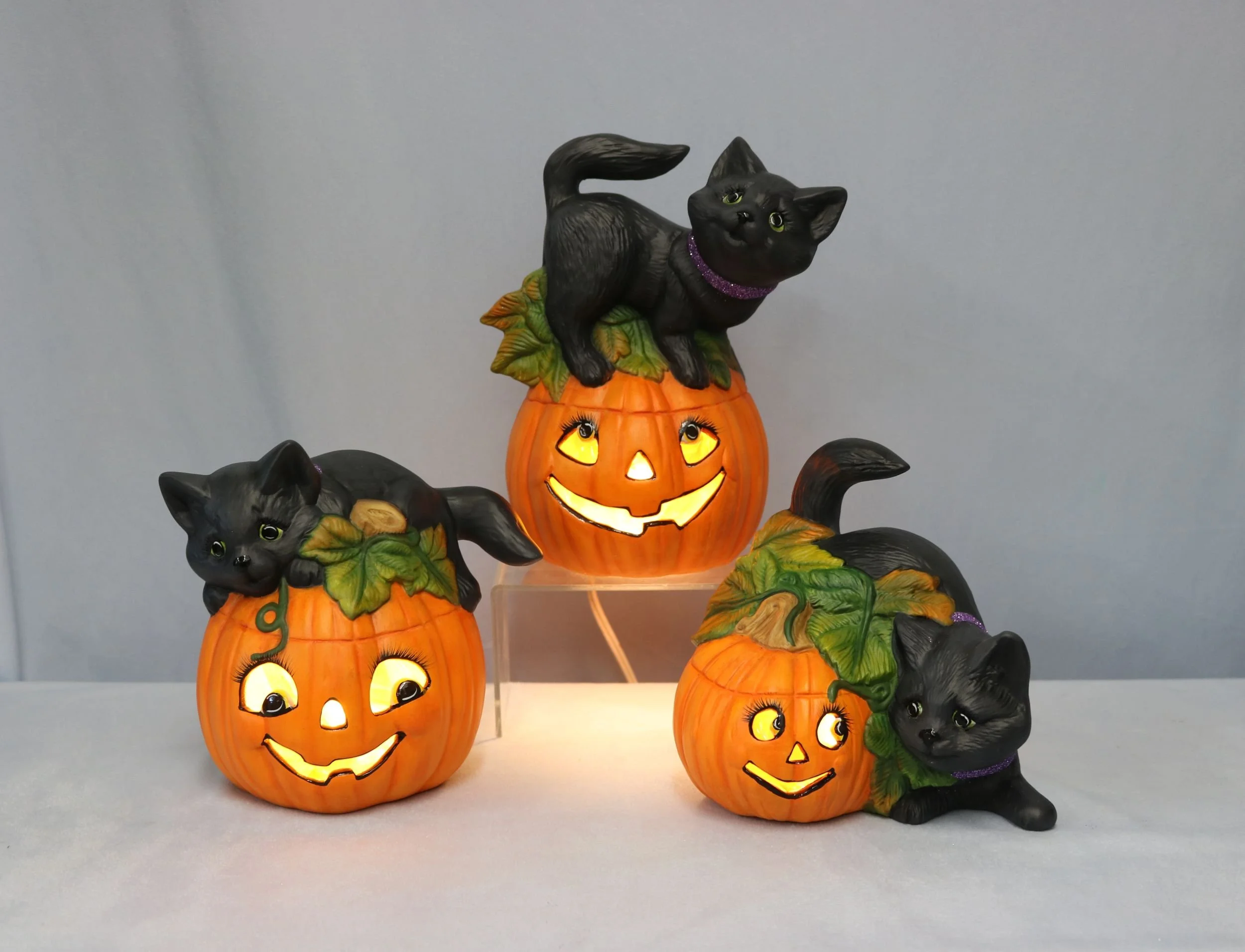 cats and Jack O Lanterns 5.jpg