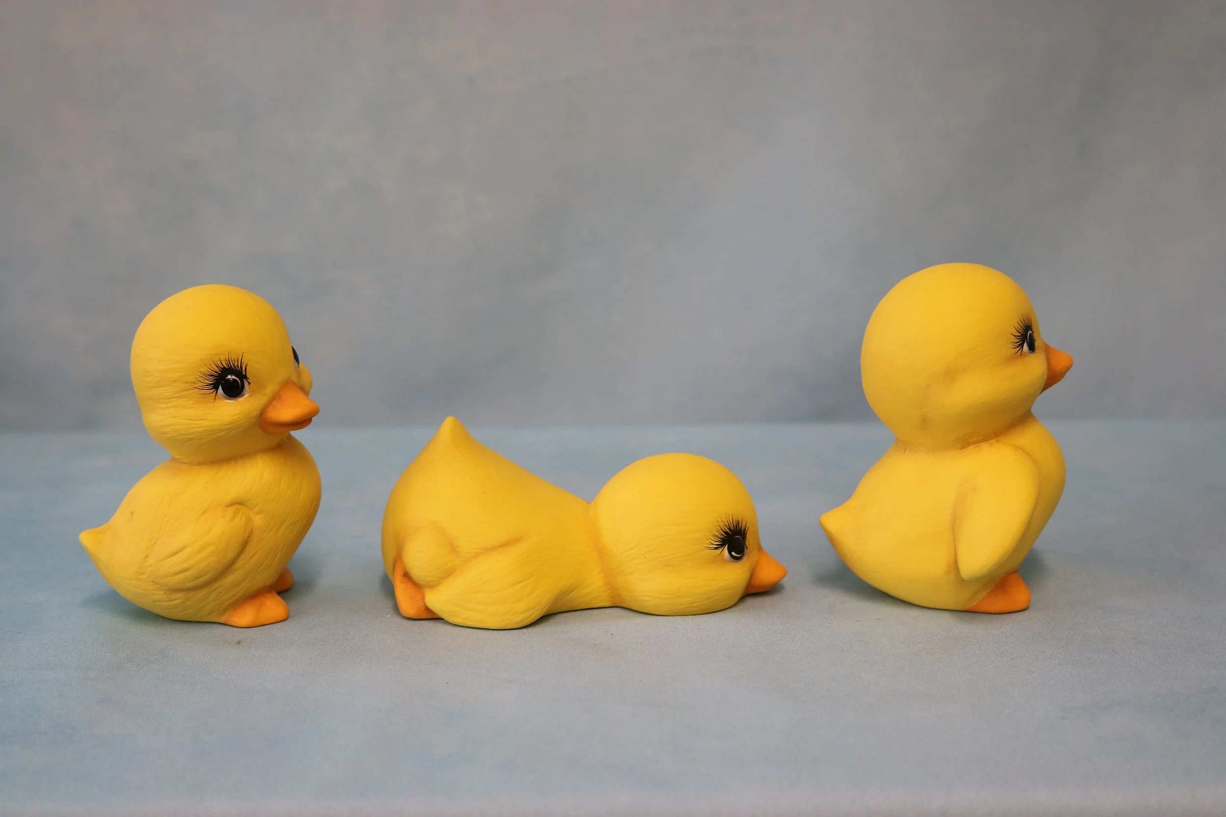 ducklings 15.jpg