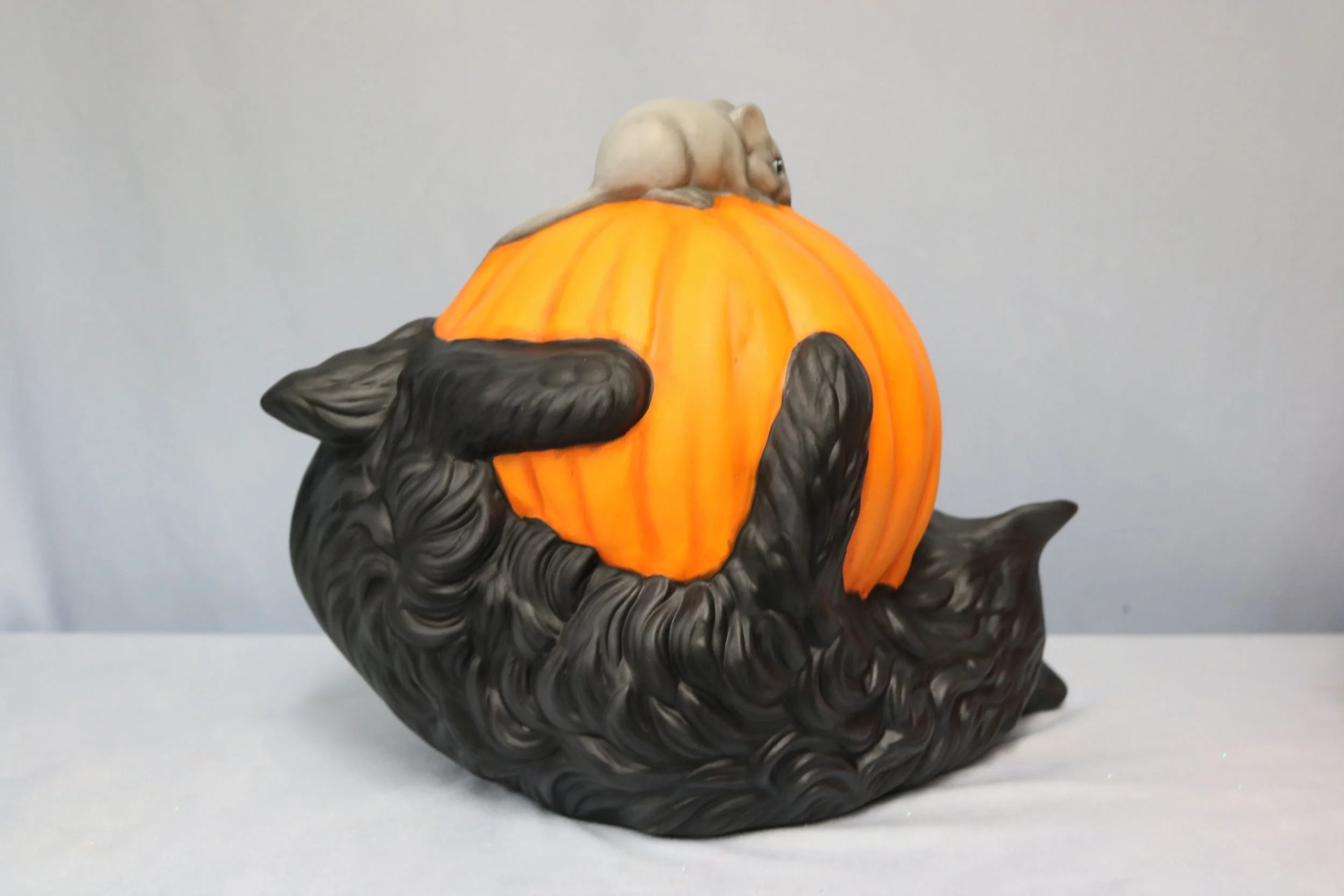 cat with Jack O lantern on back 11.jpg