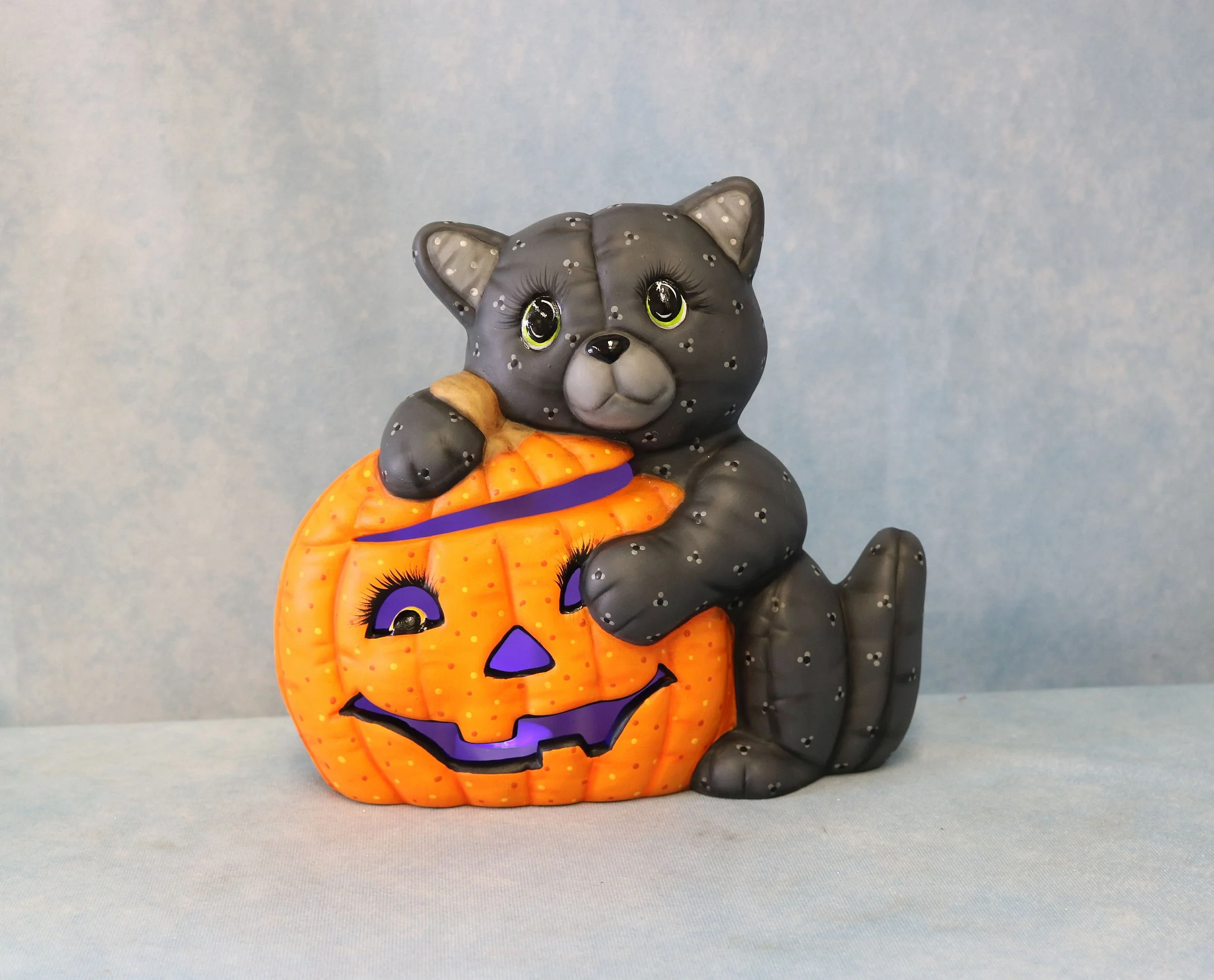 Softy Cat & Pumpkins 2.jpg