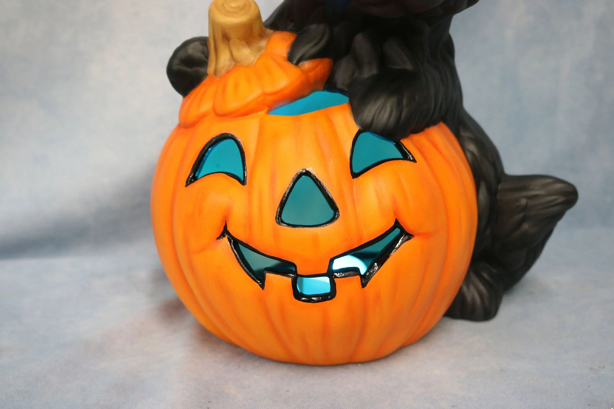 black cat with pumpkin 7.jpg