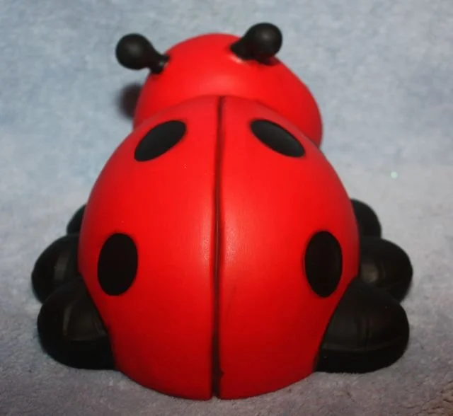 88-248 Ladybug Laying 3.jpg