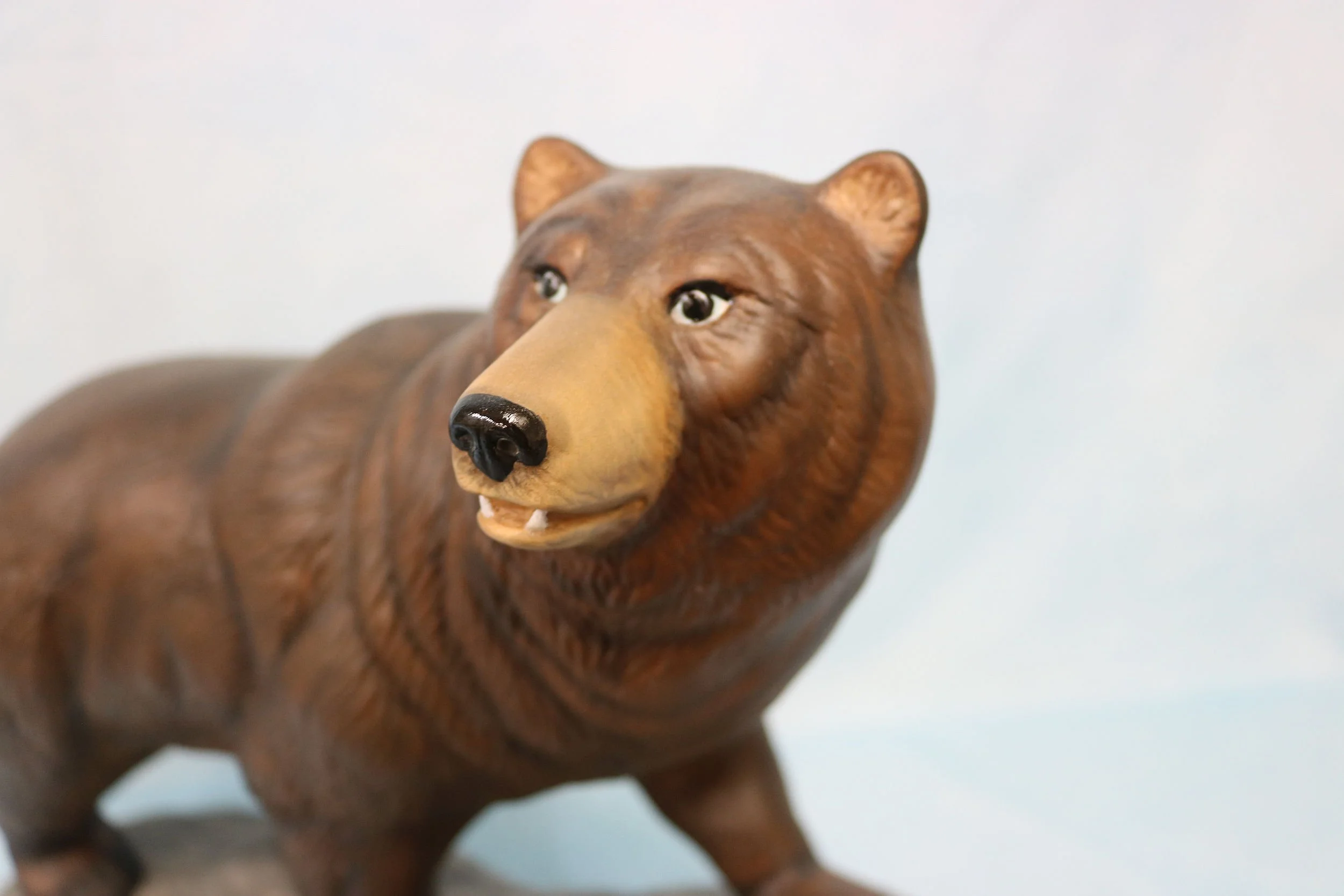 Bear on rock 6.jpg