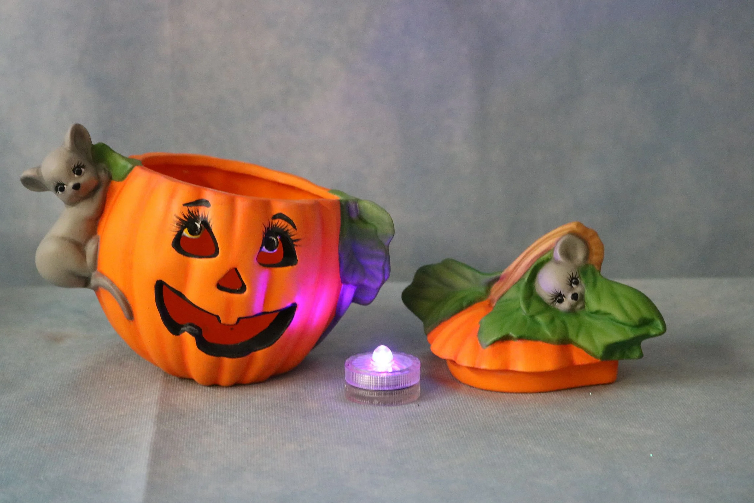mice with pumpkin 9.jpg