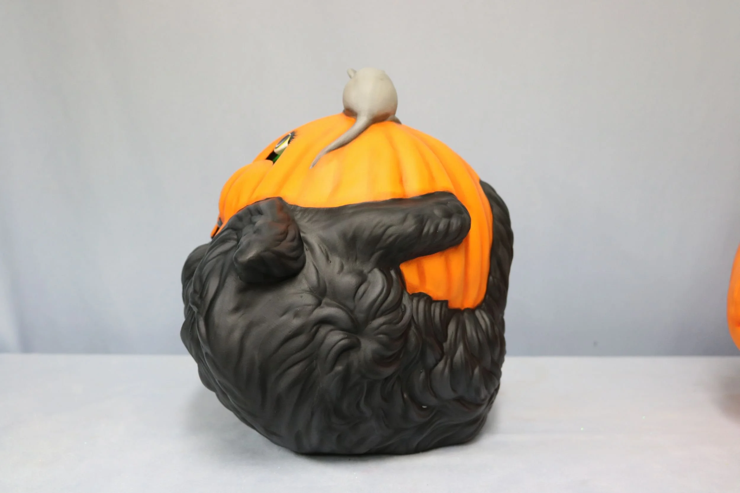 cat with Jack O lantern on back 10.jpg