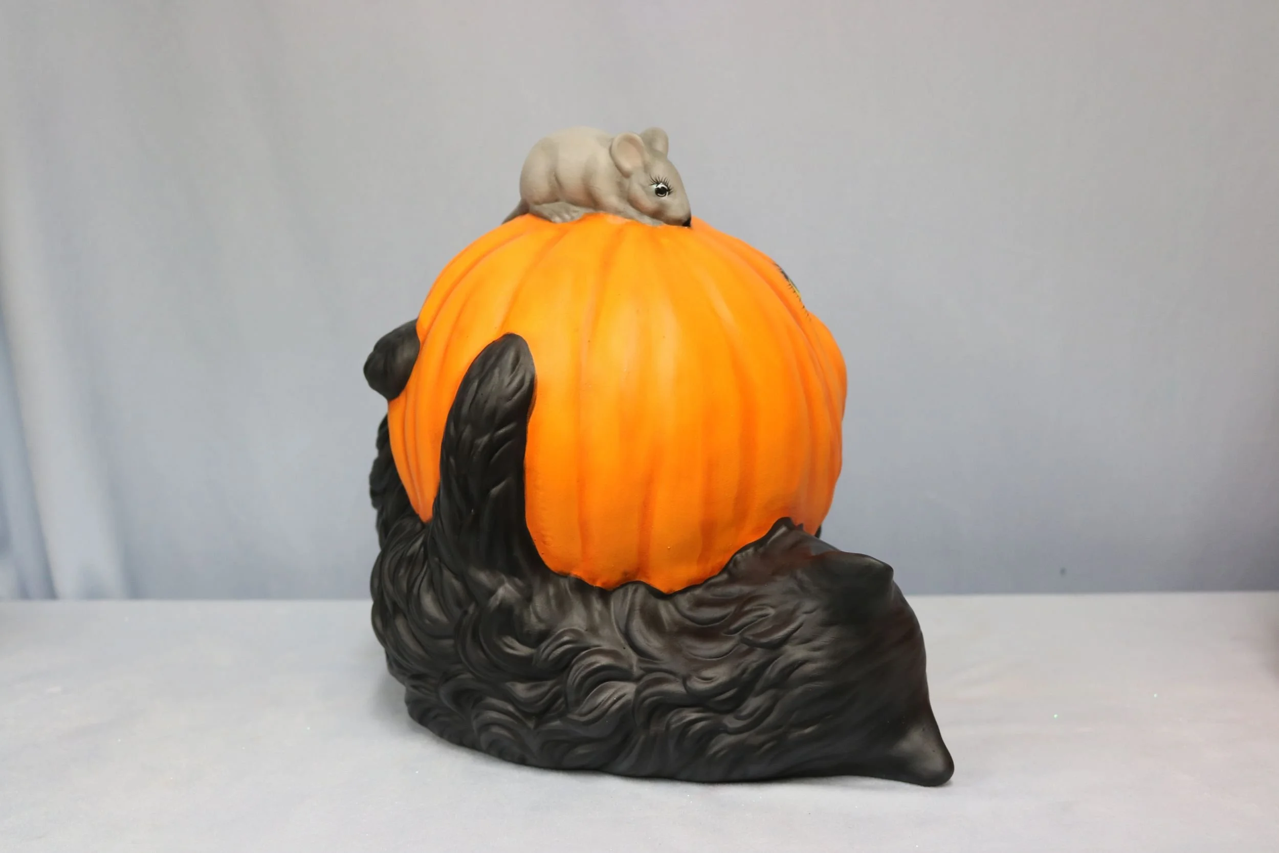 cat with Jack O lantern on back 12.jpg