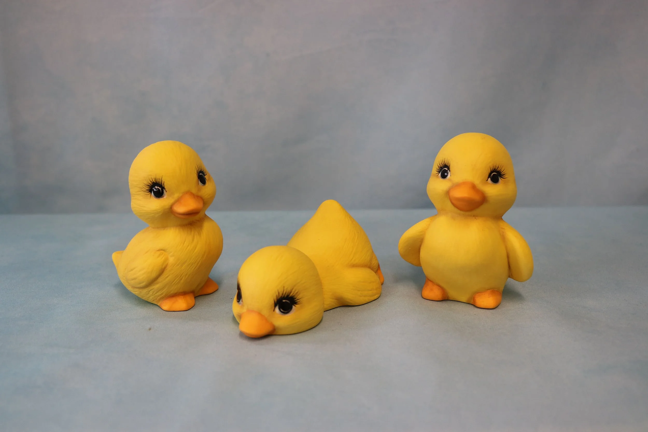 ducklings 12.jpg