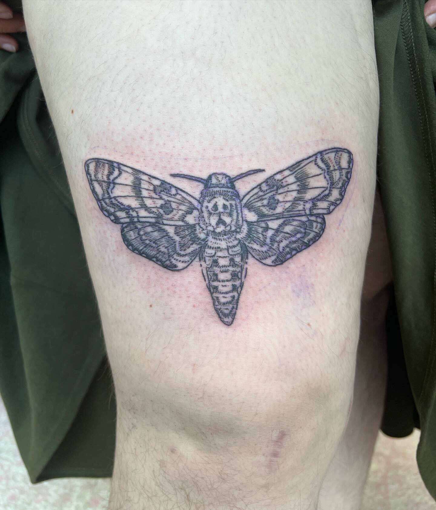 Death&rsquo;s-head hawk moth by mother @themutemaker 

Patty&rsquo;s books will reopen next month! Follow her for an update post when they open

In Love Tattoo 1130 Burke St. Winston-Salem #nctattooer #nctattooers #vegan #vegantattooer #vegantattooer