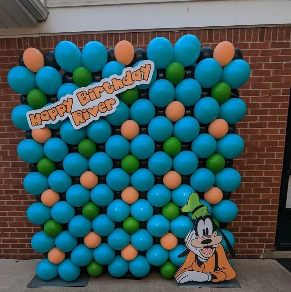 Goofy Birthday Party Decorations Backdrop Detroit.jpg