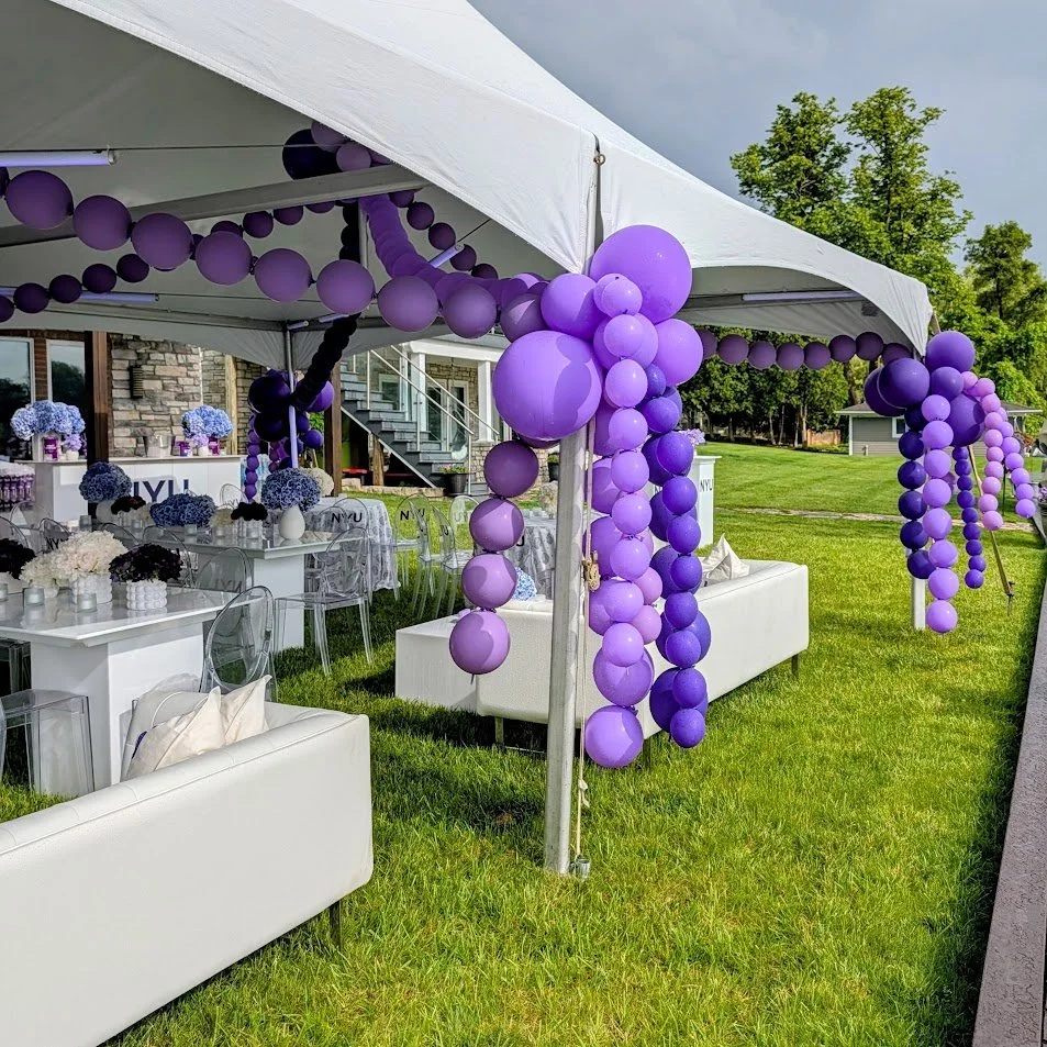 OUtdoor-tent-idea-NYU-Grad-Party-Ideas-West-Bloomfield (4).jpg