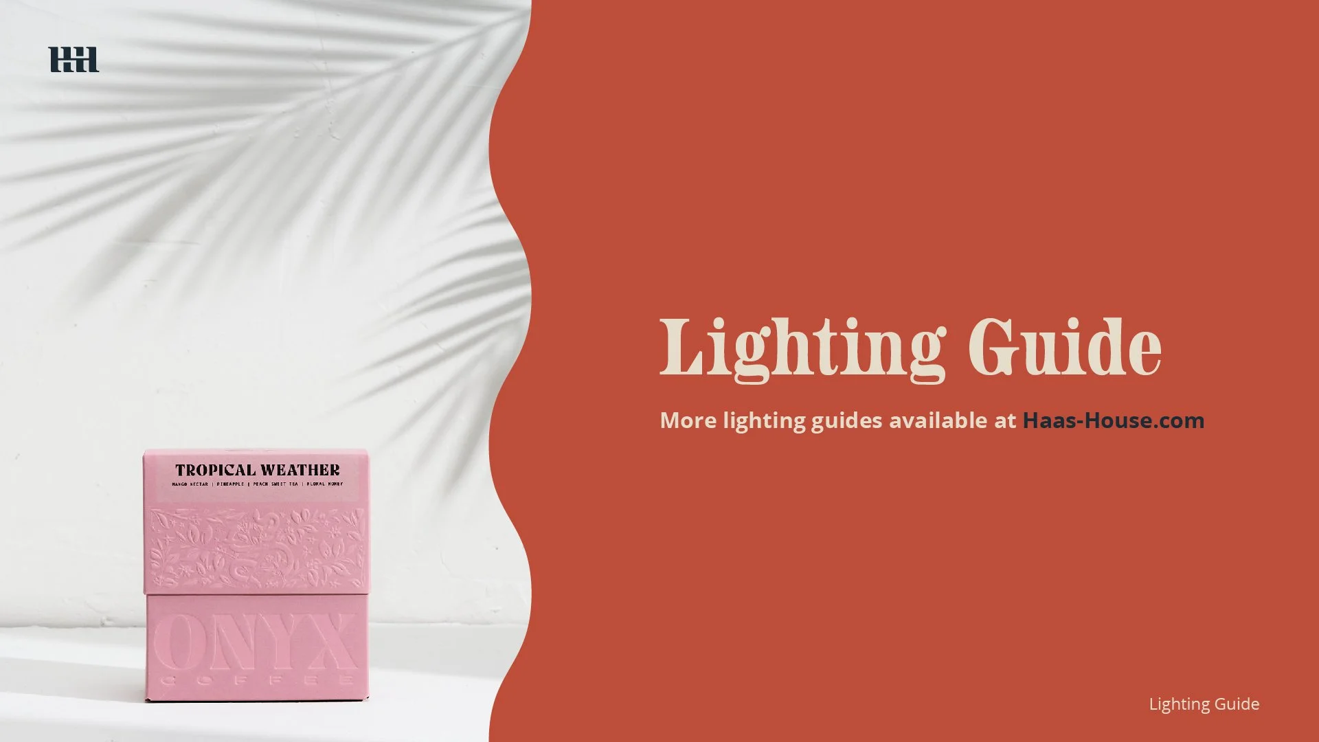 Haas House Lighting Guide - Tropical Lighting With Shadows-01.jpg
