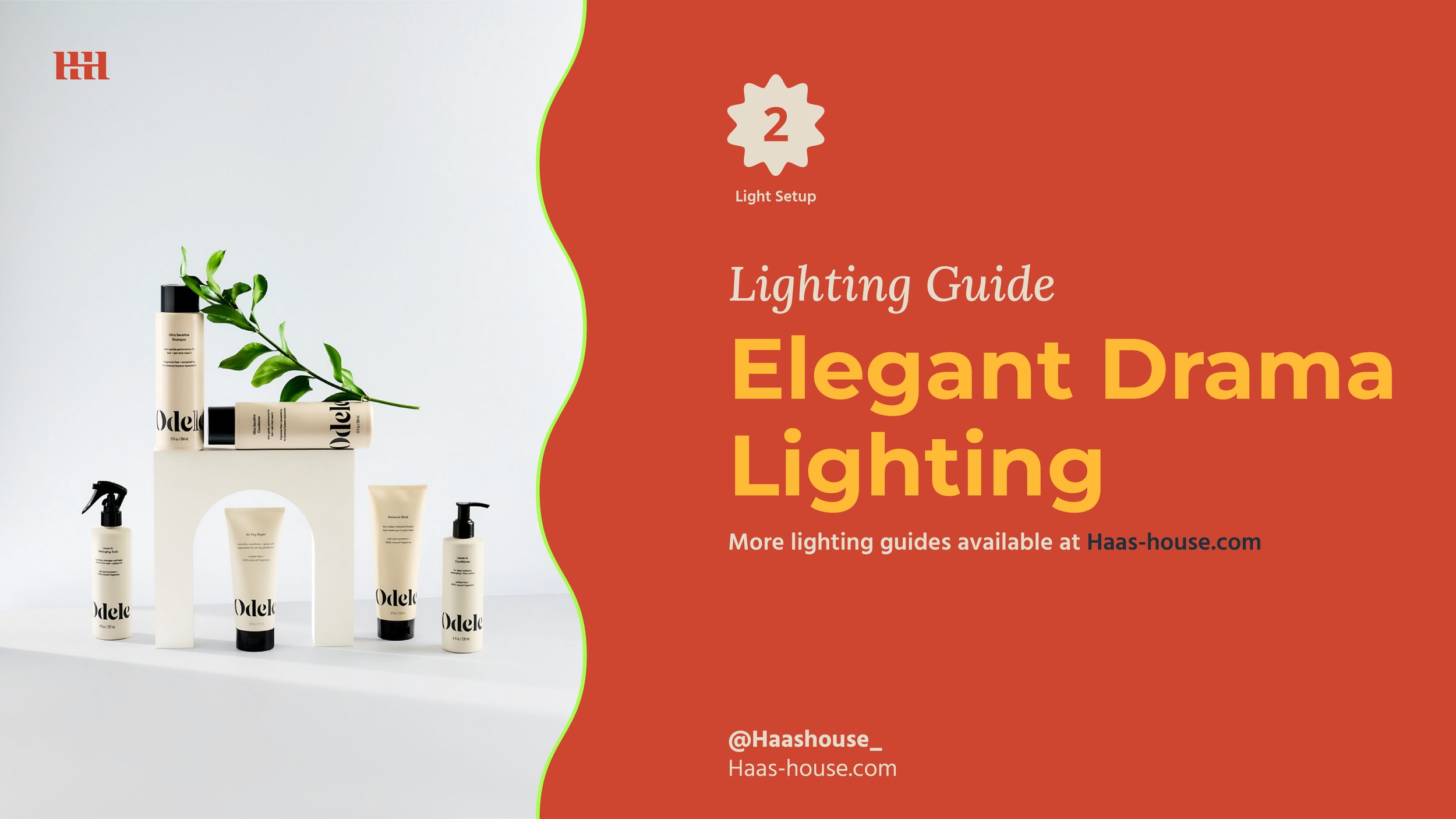 Haas House Lighting Guide - Elegant Drama Lighting.jpg