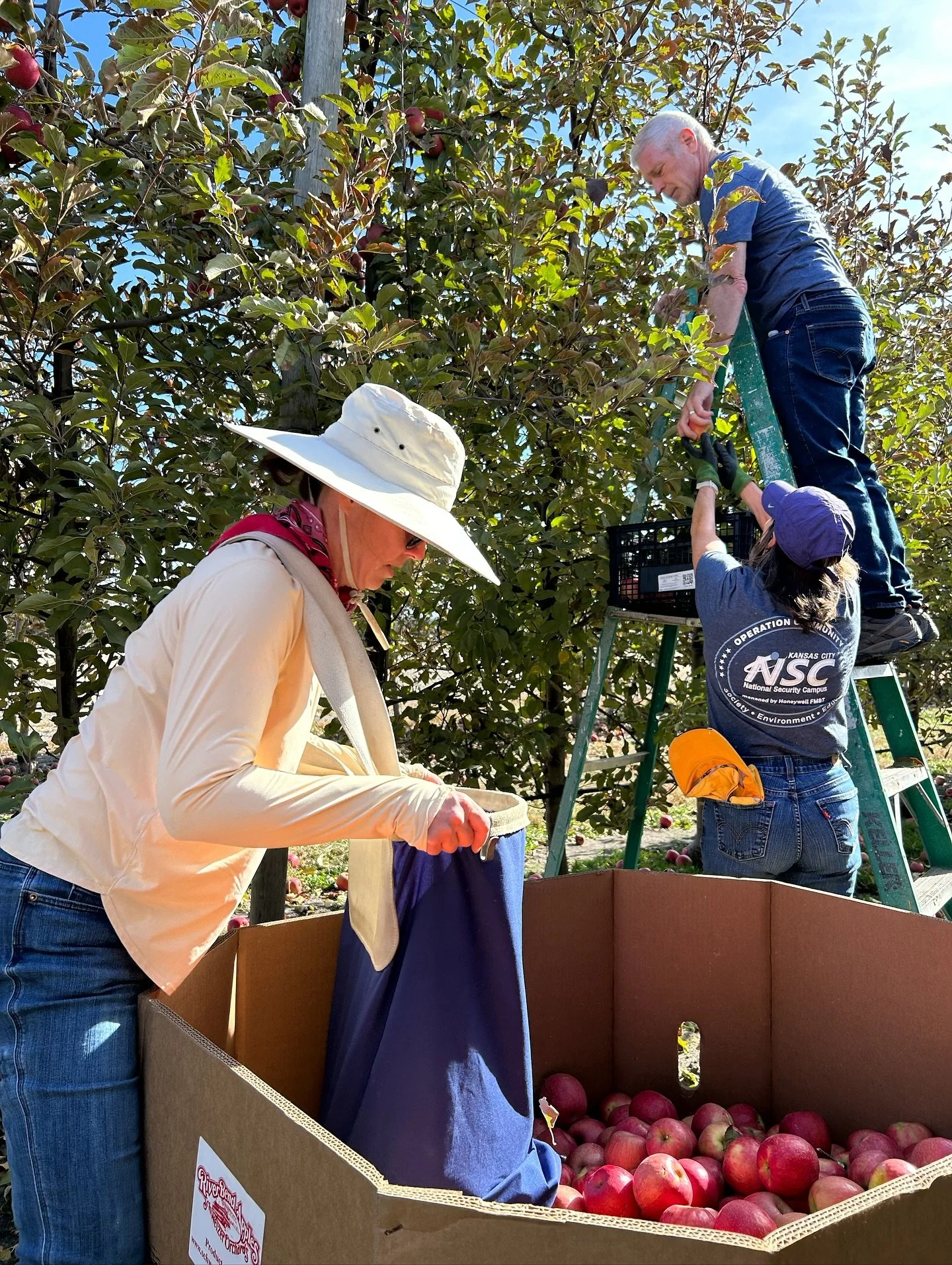 Our first ever gleaning event was a huge success! 🍎✨

A beautiful Saturday, an incredible turnout, and so much fresh food saved.

With 22 volunteers, we harvested 6 full pallets (roughly 5,600 lbs! The weight of a SUV!) of Fuji and Pink Lady apples 