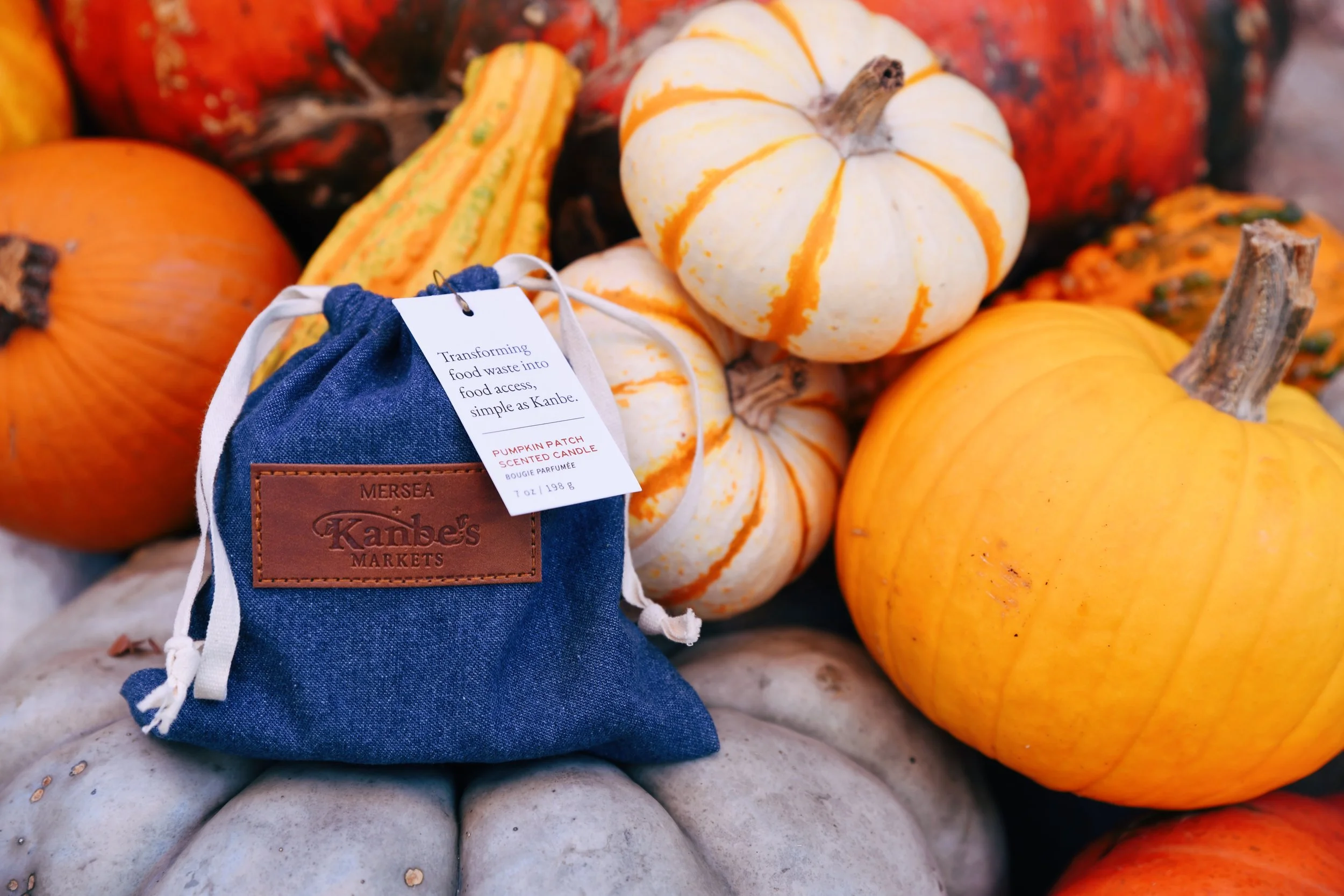 Photo Nov 10 2024, 4 59 15 PM.jpg