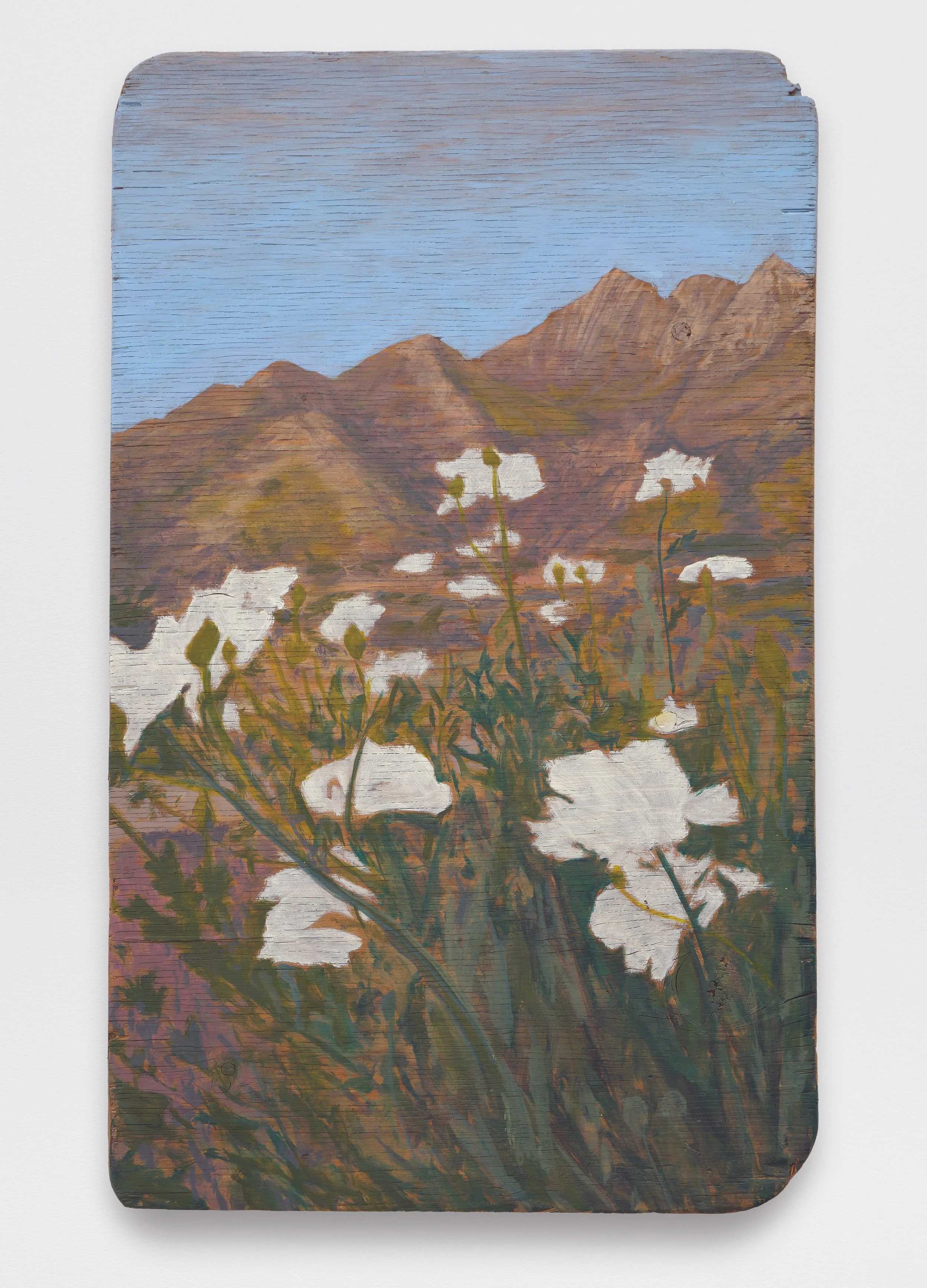 Serena's Poppies, 30 x 18”
, Oil on found plywood, 2025