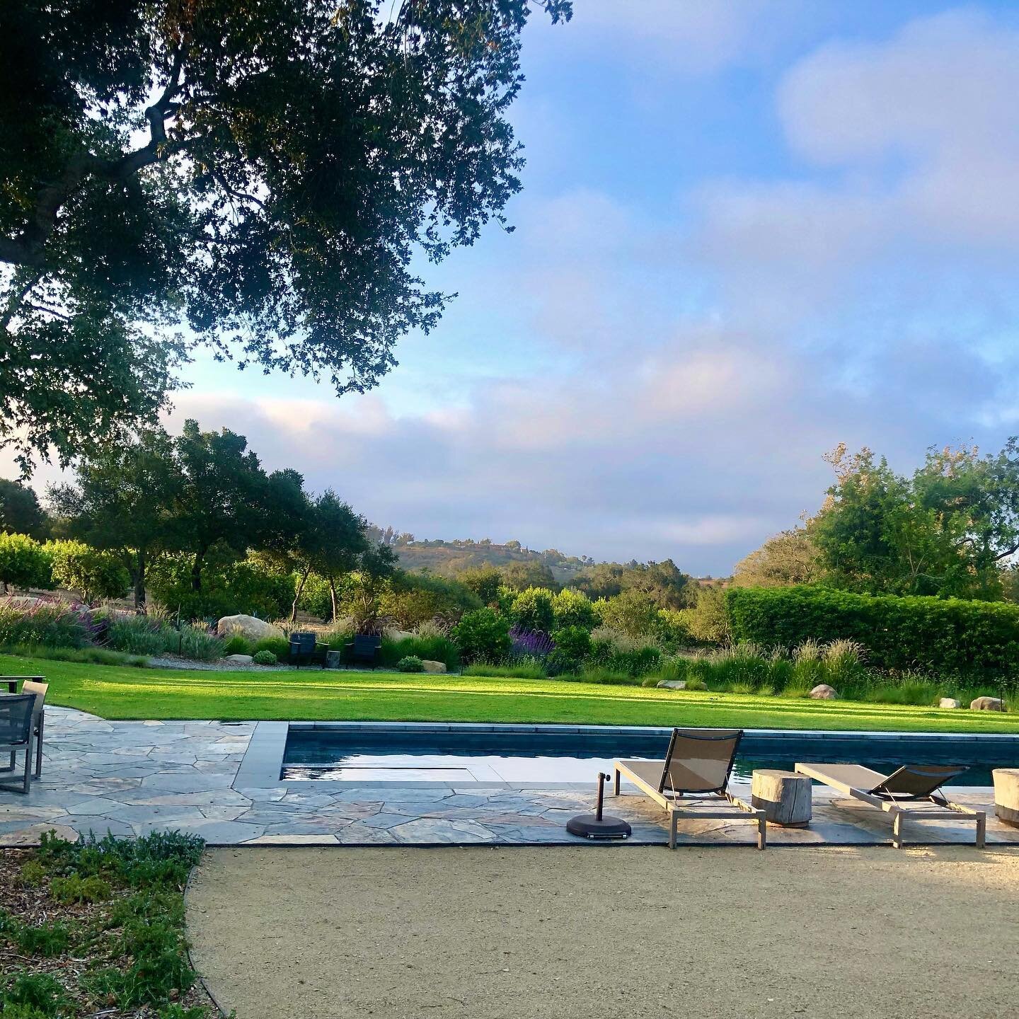 Morning Light. 
It&rsquo;s wonderful to travel and then come home..

.
#leslielundgrendesign #design #designer #designinspiration #gardendesign #gardeninspiration #montecito #lifestyle #california #californialove #homedecor #home #homedesign