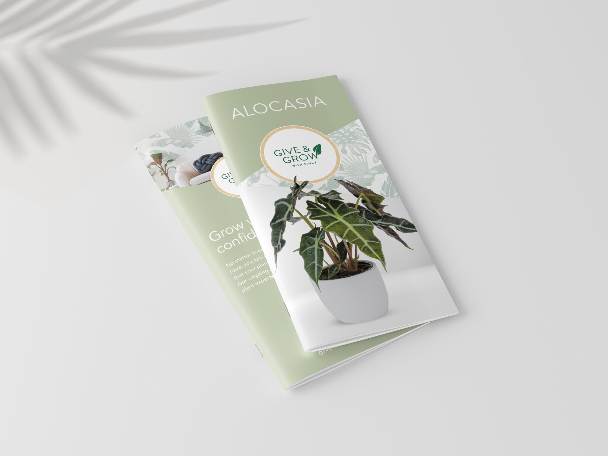 Plant Care Brochure