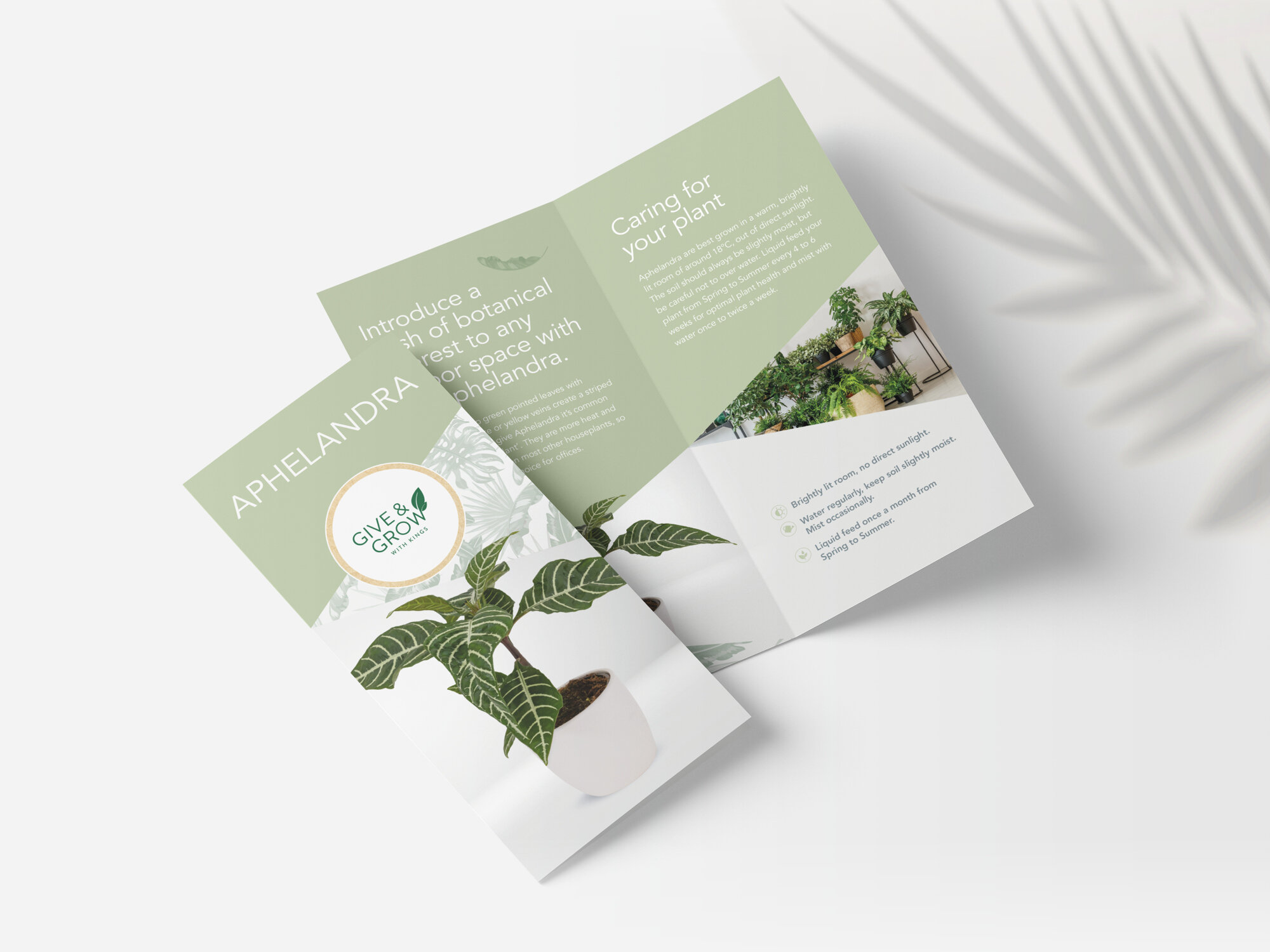 Plant Care Brochure