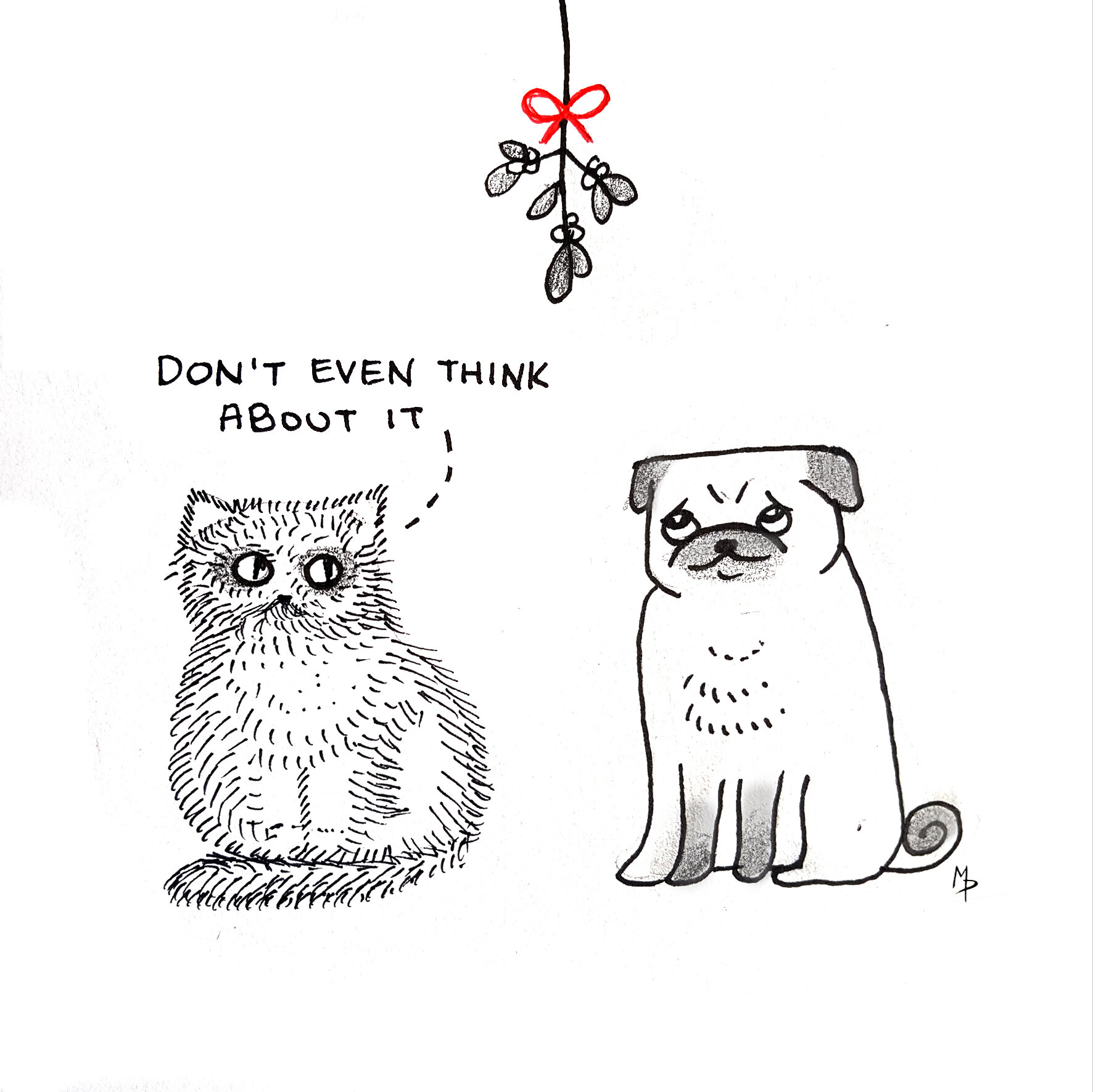 cat & pug.jpg