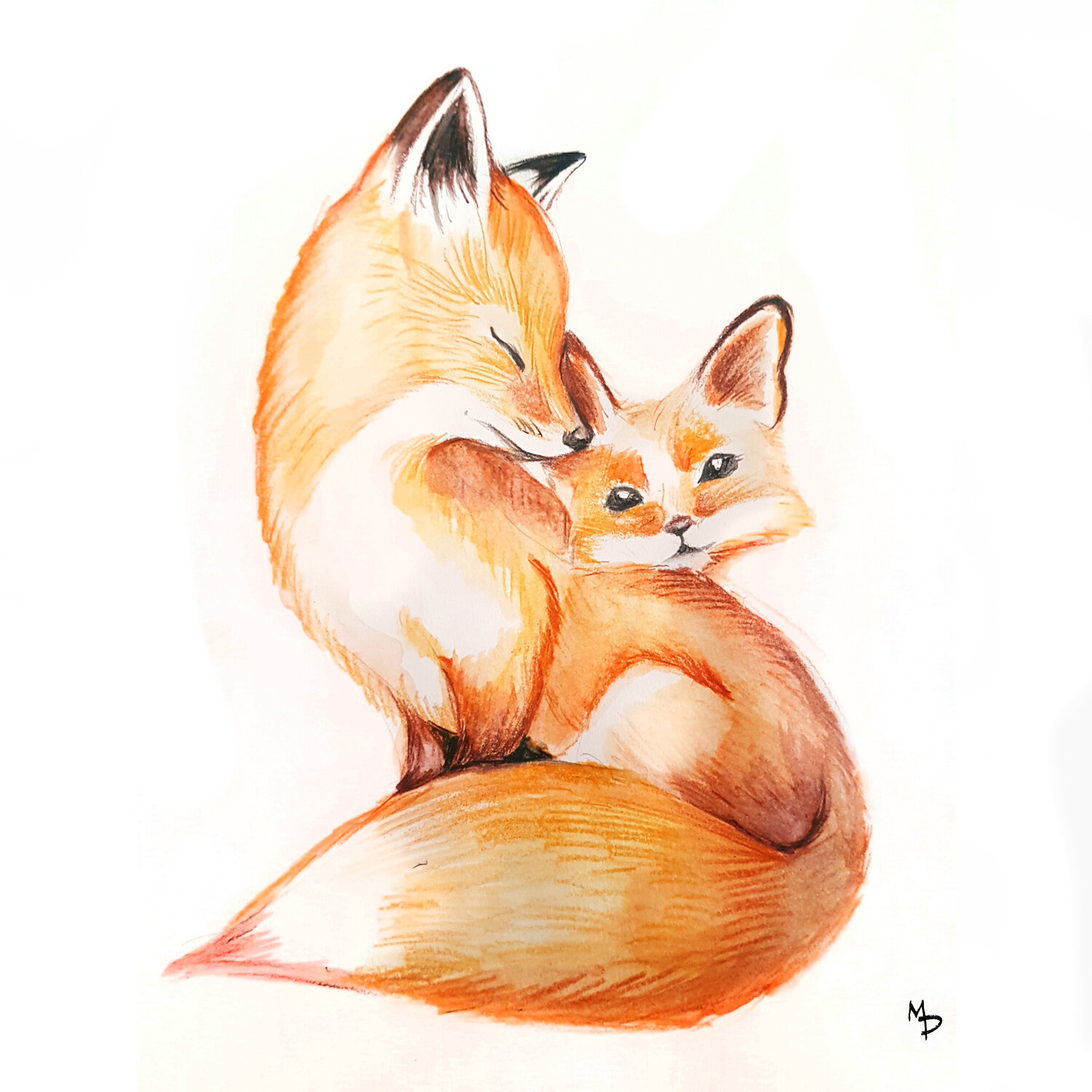 Mum-and-baby-fox.jpg