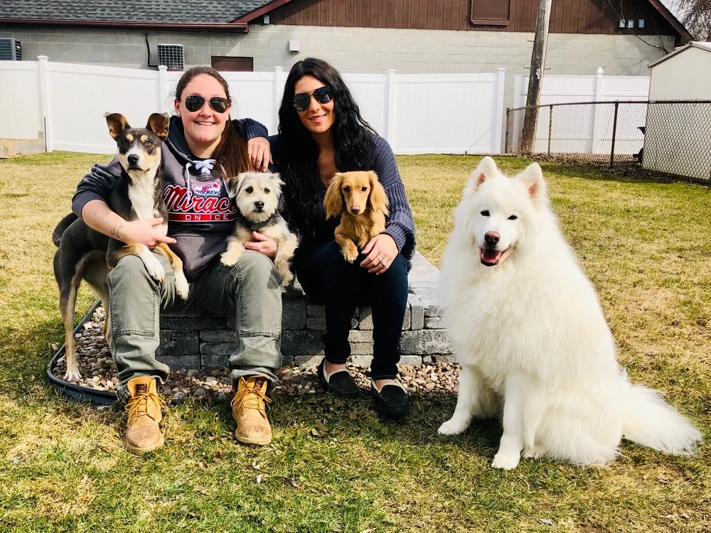 Dog Walking & InHome Pet Setting Amherst & Tonawanda NY Claws and