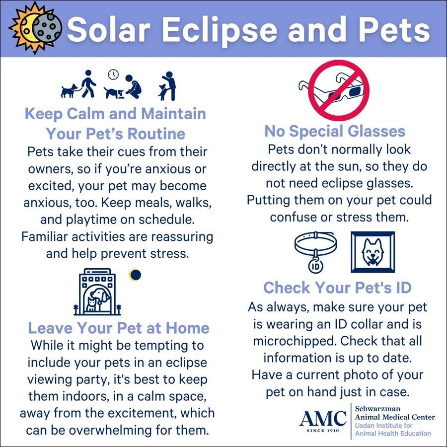 Some of you may be worried about the potential danger to your pets during the solar eclipse tomorrow, April 8th. Keep in mind, they are unaware of the eclipse and the excitement behind it and animals do not instinctively stare at the sun. 

They may 