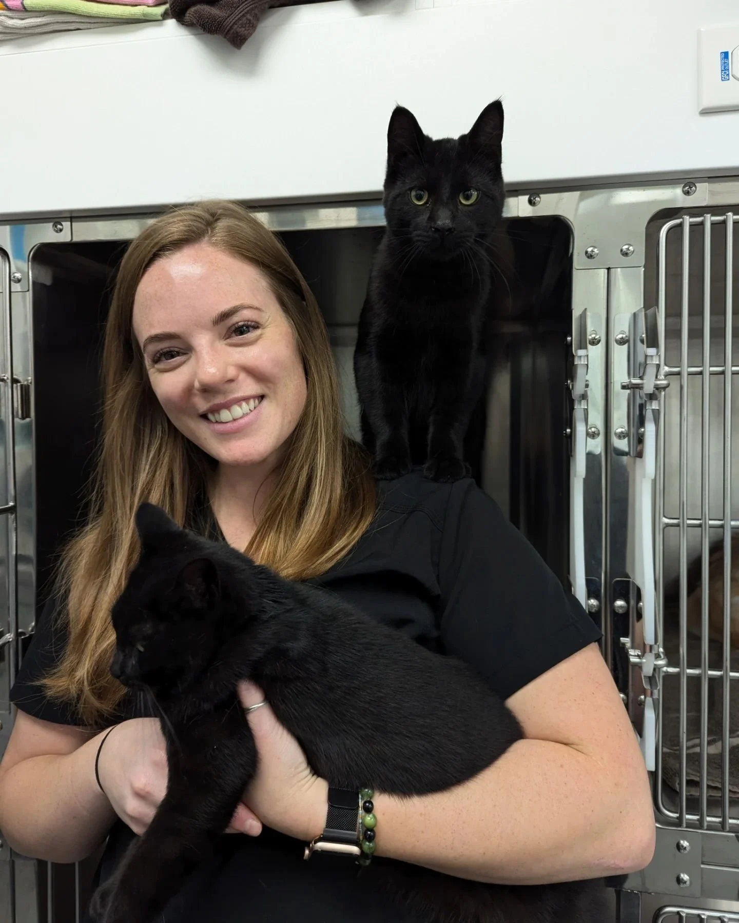Black cats are absolutely N̳O̳T̳ bad luck. Sound up and swipe for the loudest purrs you've ever heard. 
Happy Halloween 🐈&zwj;⬛🎃🖤

#horseshoevalleyvet #horseshoevethospital #horseshoevet #vetclinic #veterinary #vet #craighurst #oromedonte #barrie 