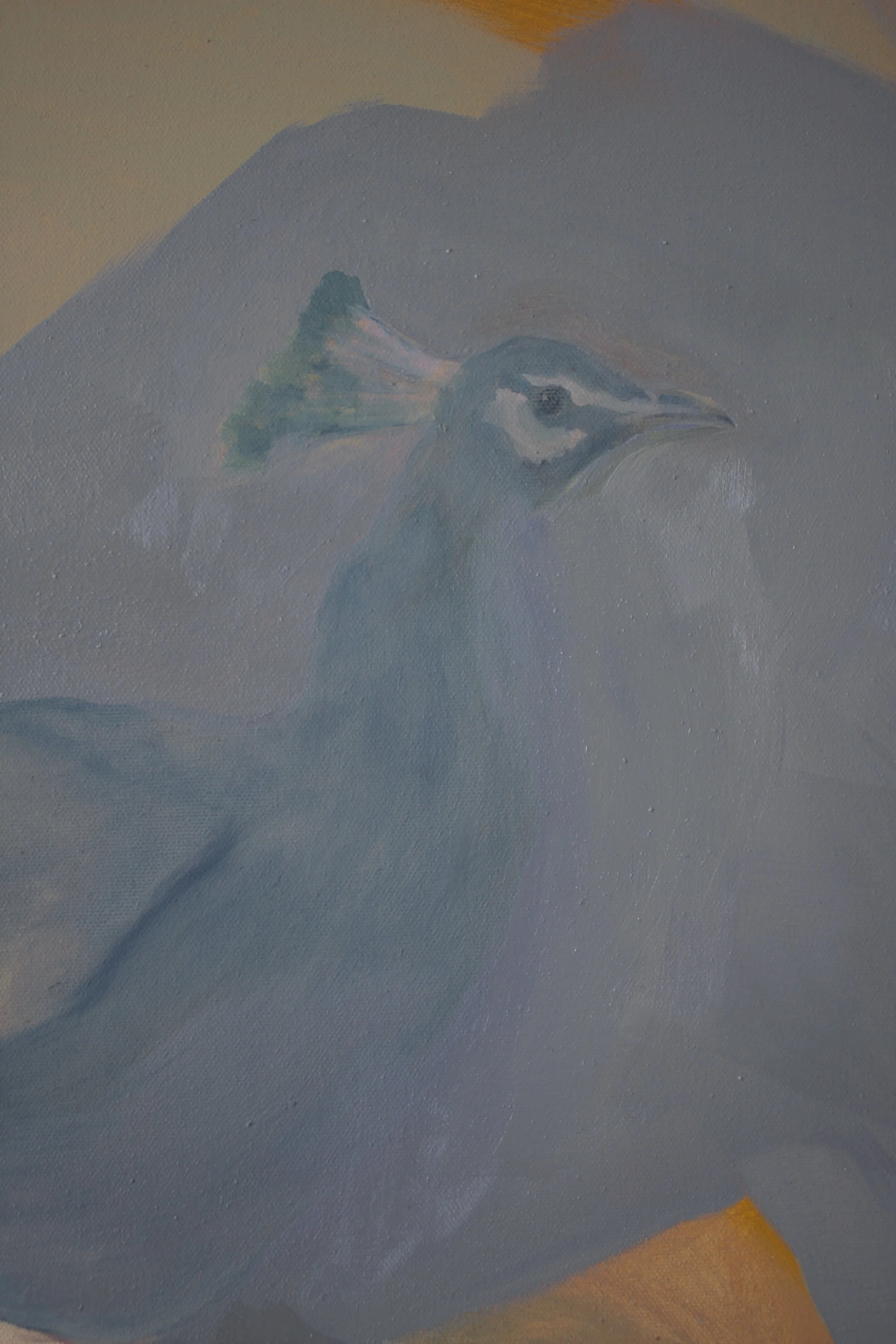 Devan Burgess,  From her rabbits hutch , oil paint on canvas