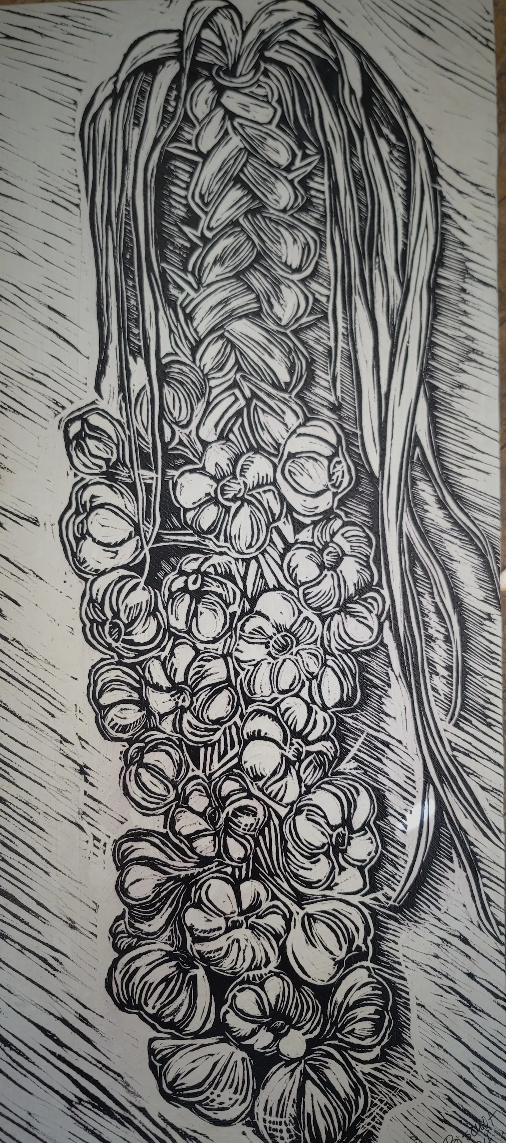 Jenny Mikulski,  Garlic, LinoPrint