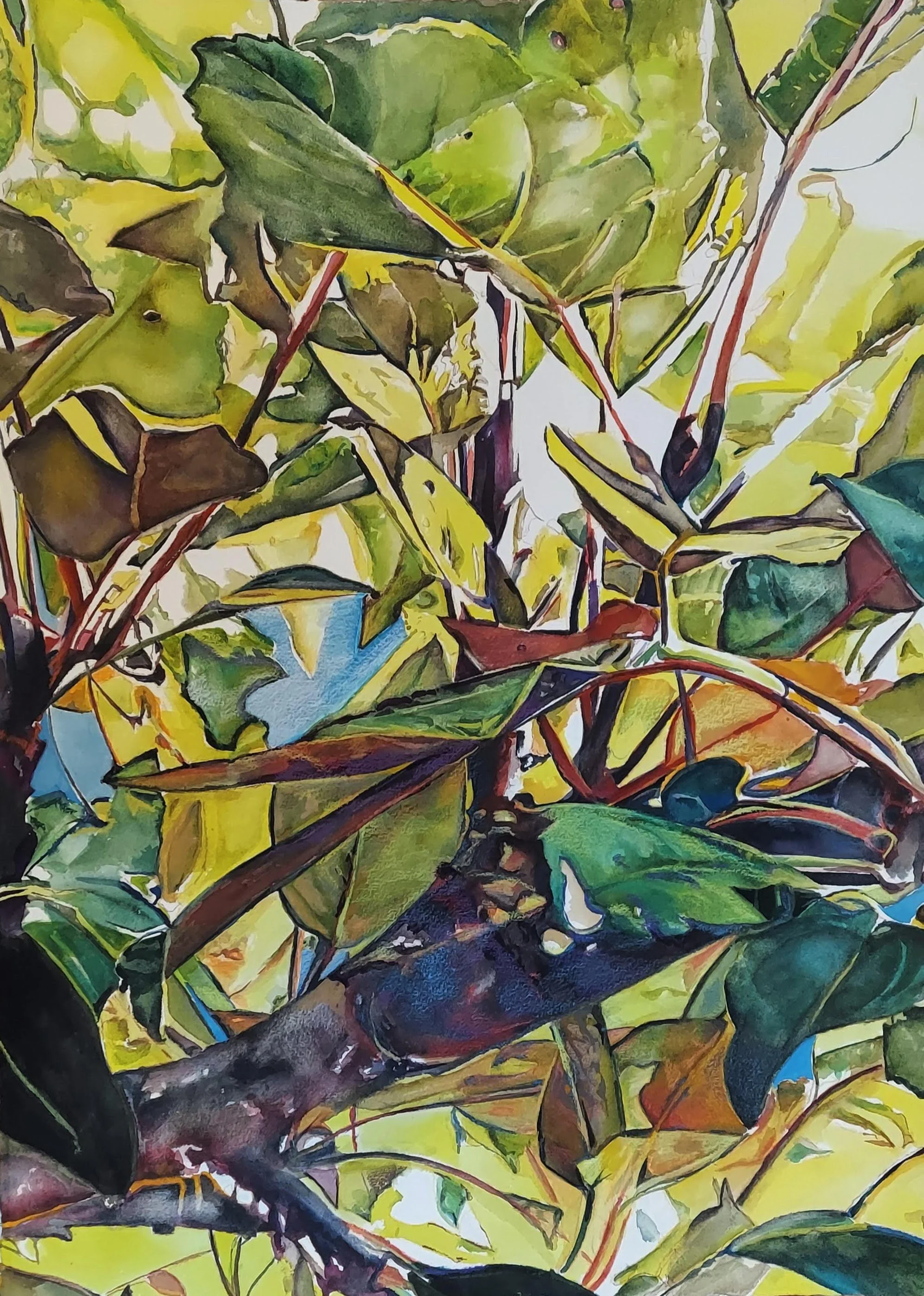 Jane Skafte, Butterfly Bush, Watercolor, 30x22 in. $1,320