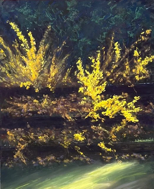 Joan Dreicer, Breaking Through the Darkness