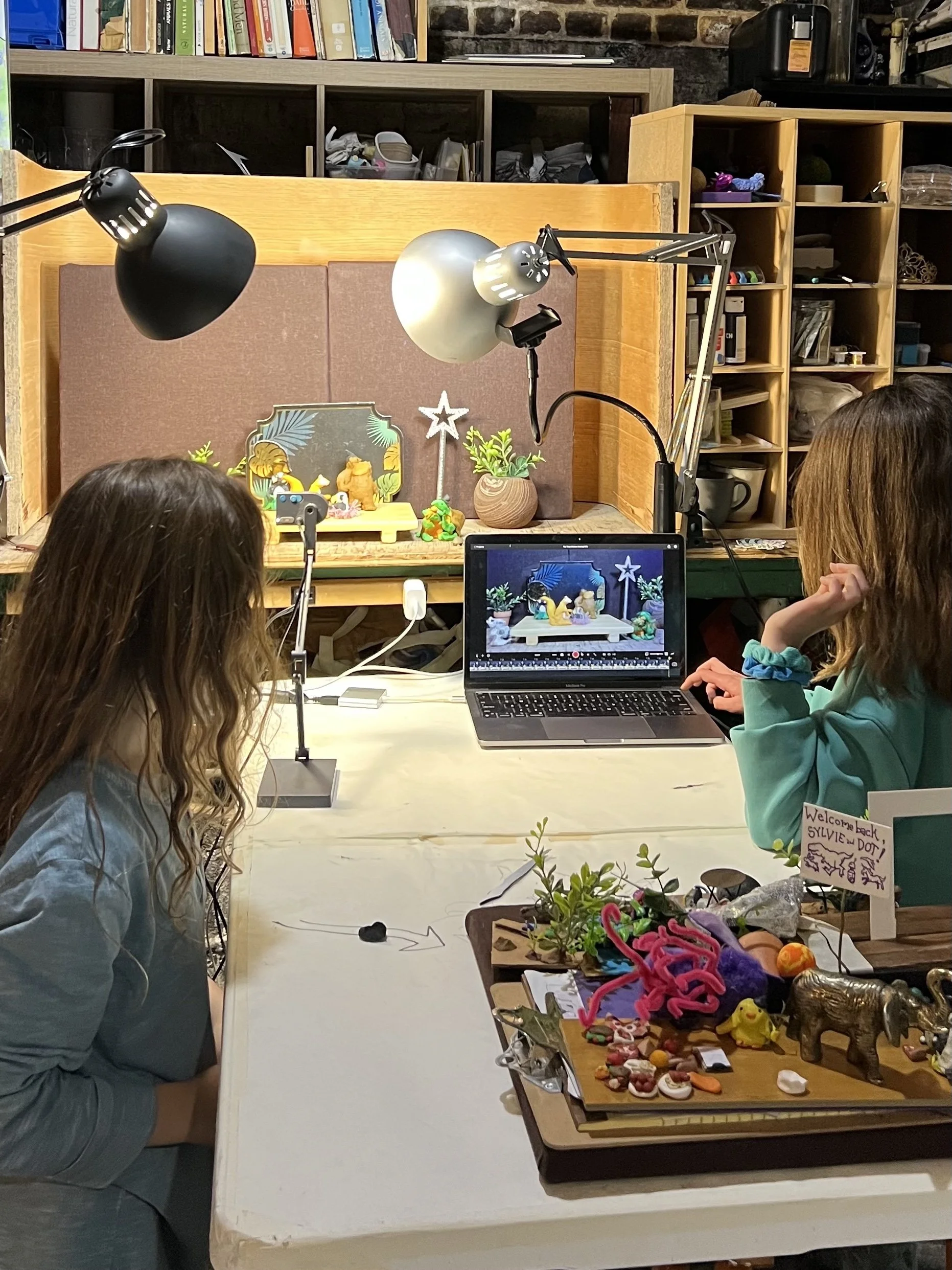 Joe Vena, Stop Motion Animation Party, party/workshop, $300