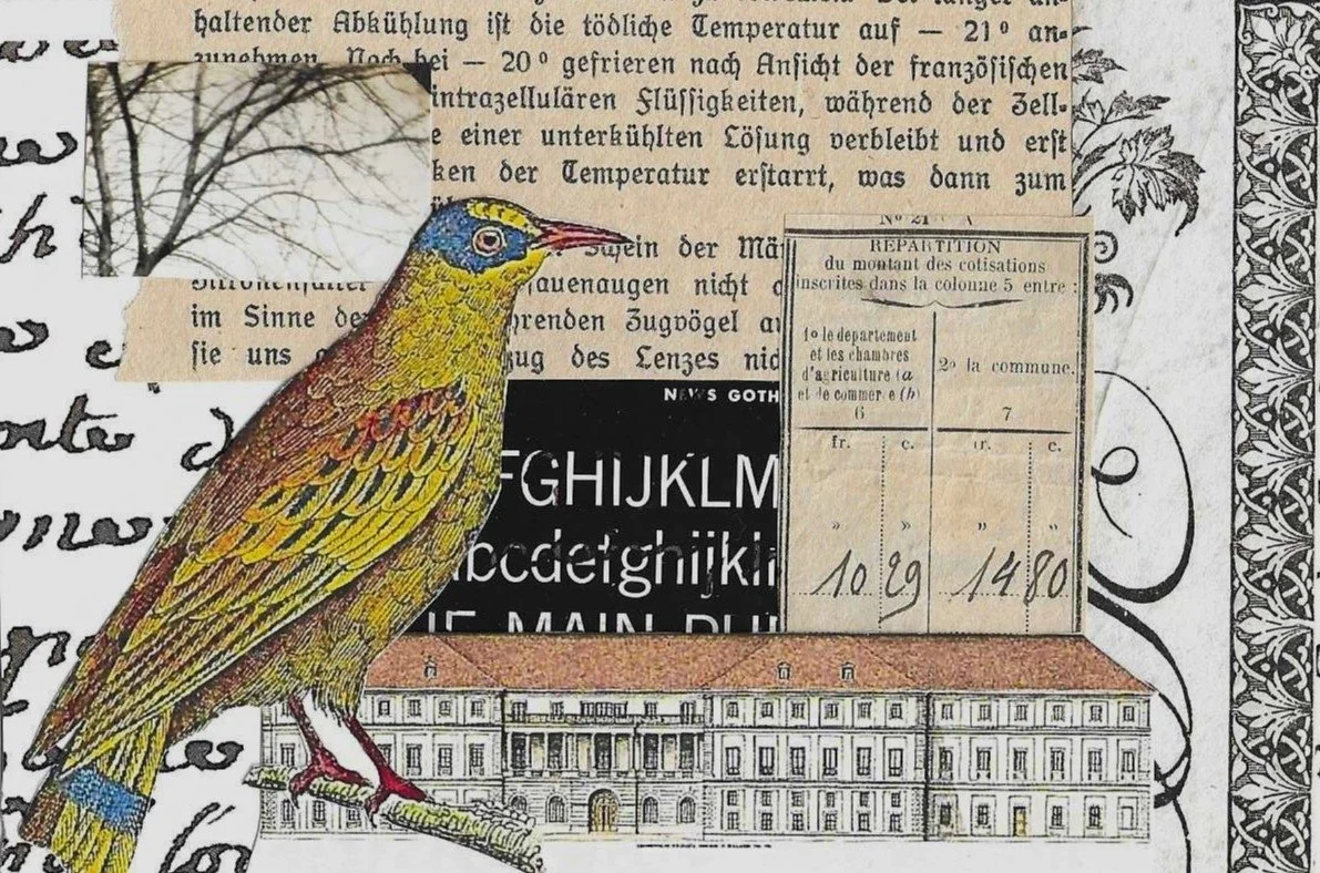 Sue Waterman,  Birdsong in Weimar , collage